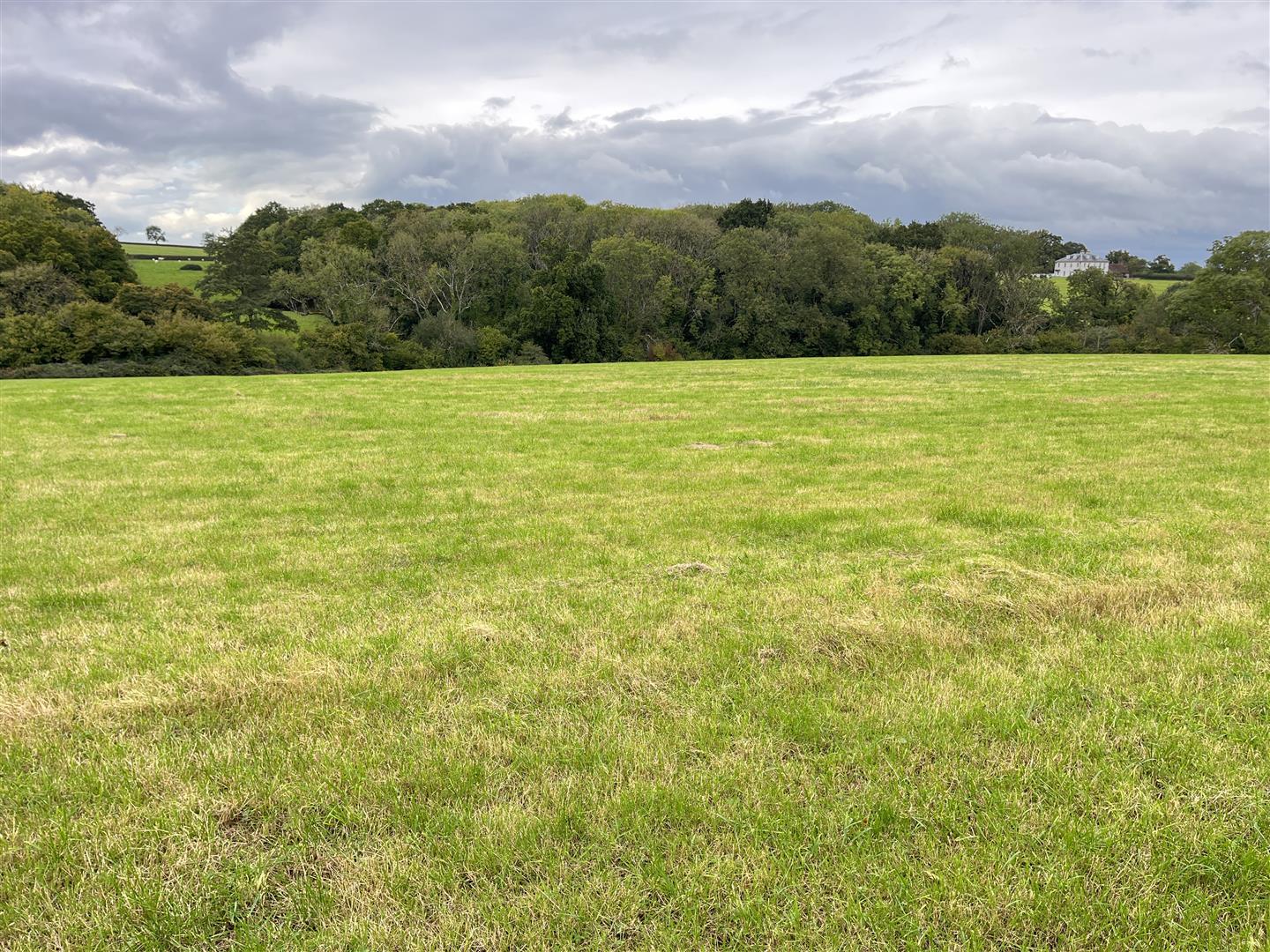 Property Image 58b579d1-e80a-43f3-a50e-445a59aec310