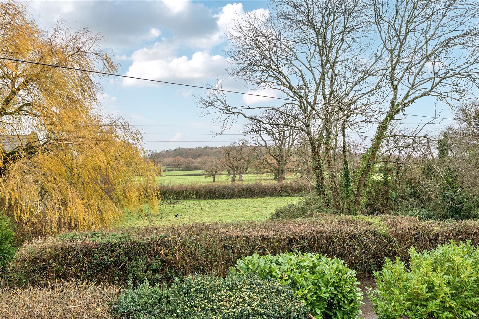 Property Image 58c922ff-2ca4-44ef-8225-16b654e43840