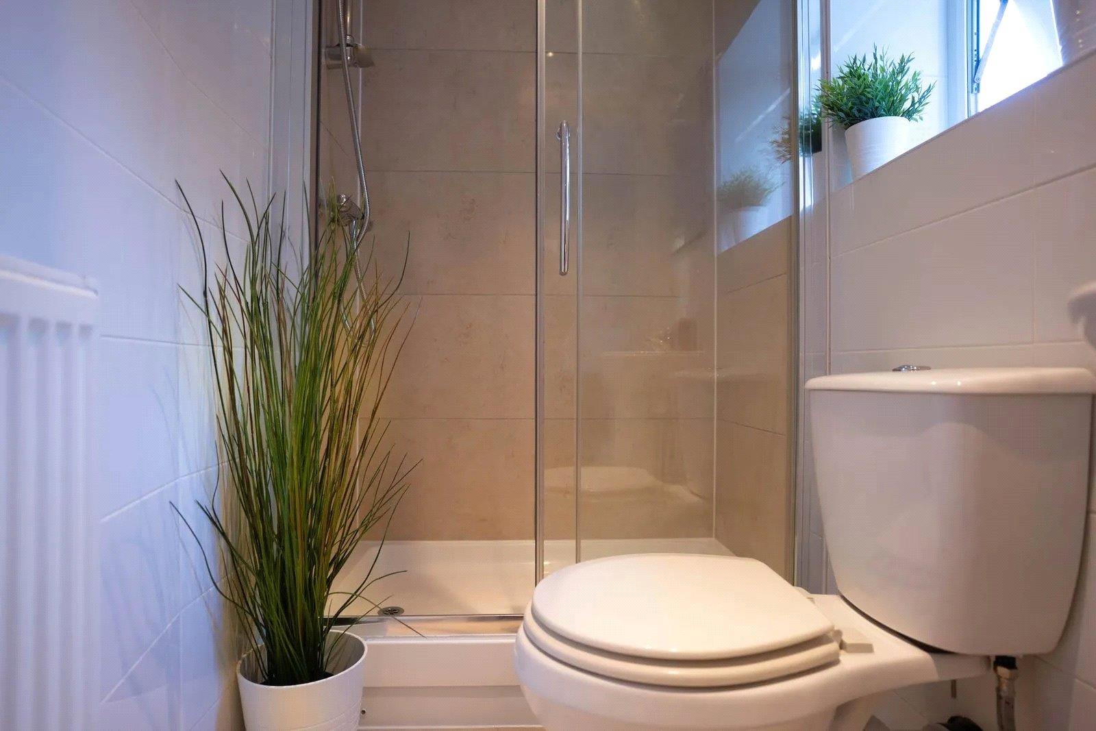 Property Image 58ca8609-b15c-4aa8-91a8-b3bce3e42a0e