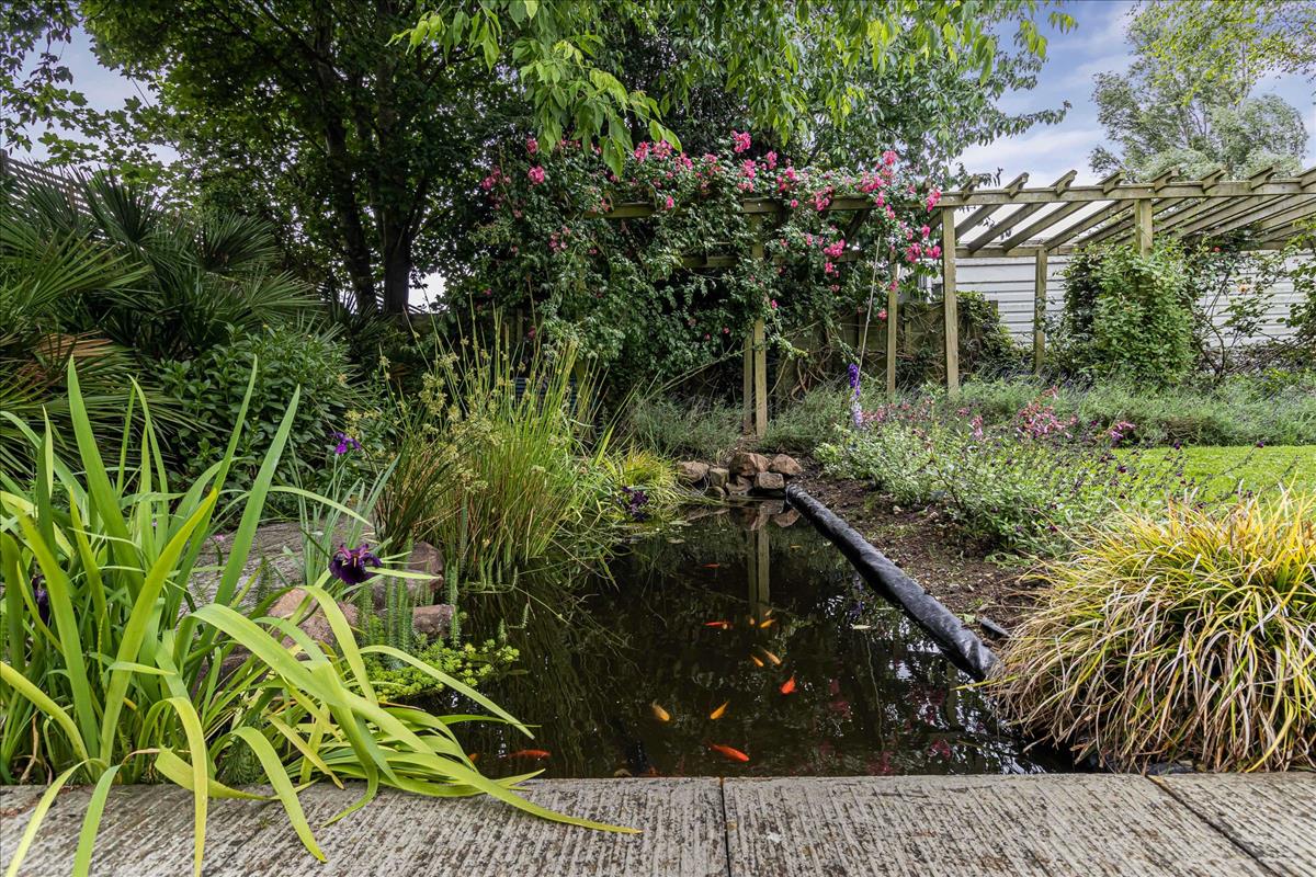 Property Image 58fc7652-623d-49e5-bded-627d22acbd9f