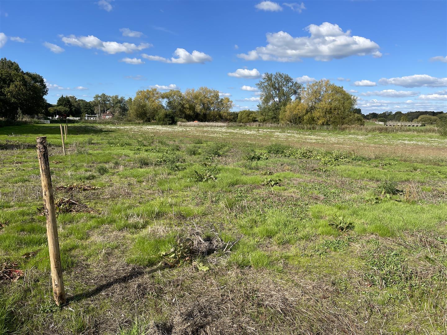 Property Image 592f3f38-fe0b-4a83-b30b-bfe35c649df5