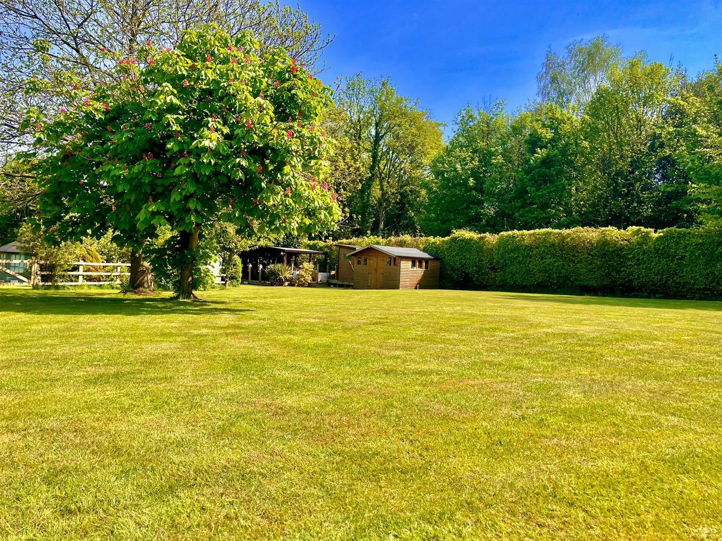 Property Image 595f51b7-eabf-46e3-bbf6-ffe375802253