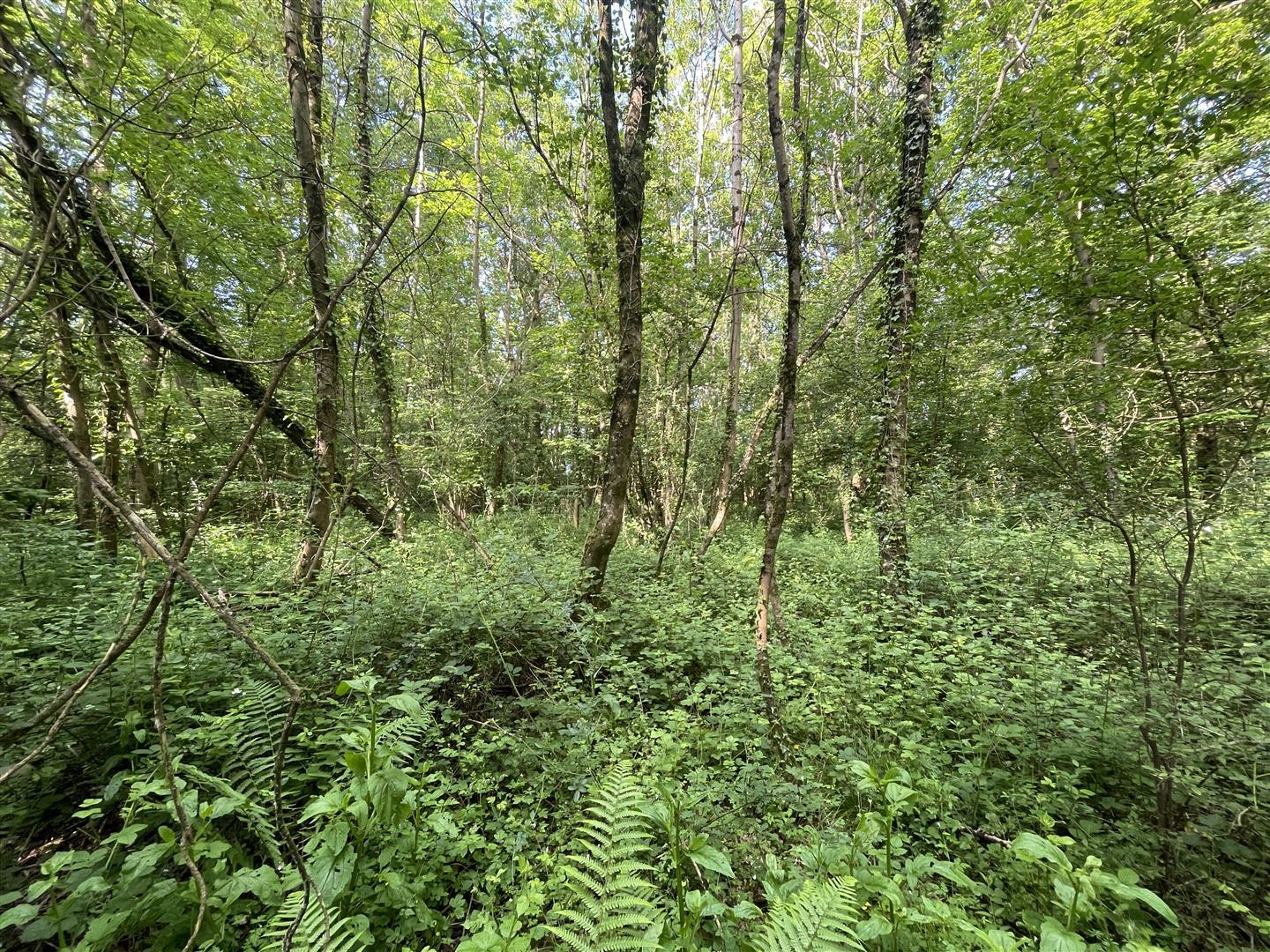 Property Image 59abd336-c9f6-41db-b40c-926489c22ecf