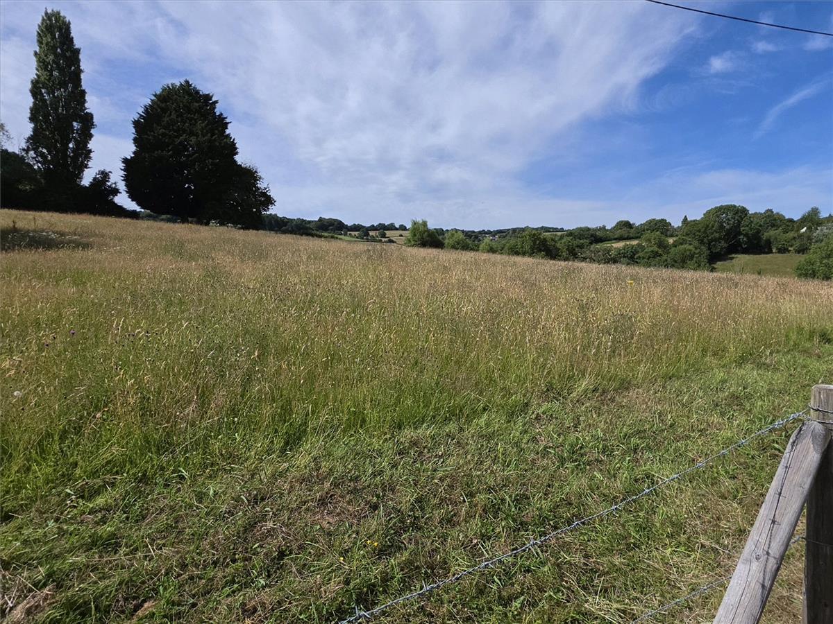 Property Image 59ac37bc-3ac1-4246-93d0-f1ef5e12e30a