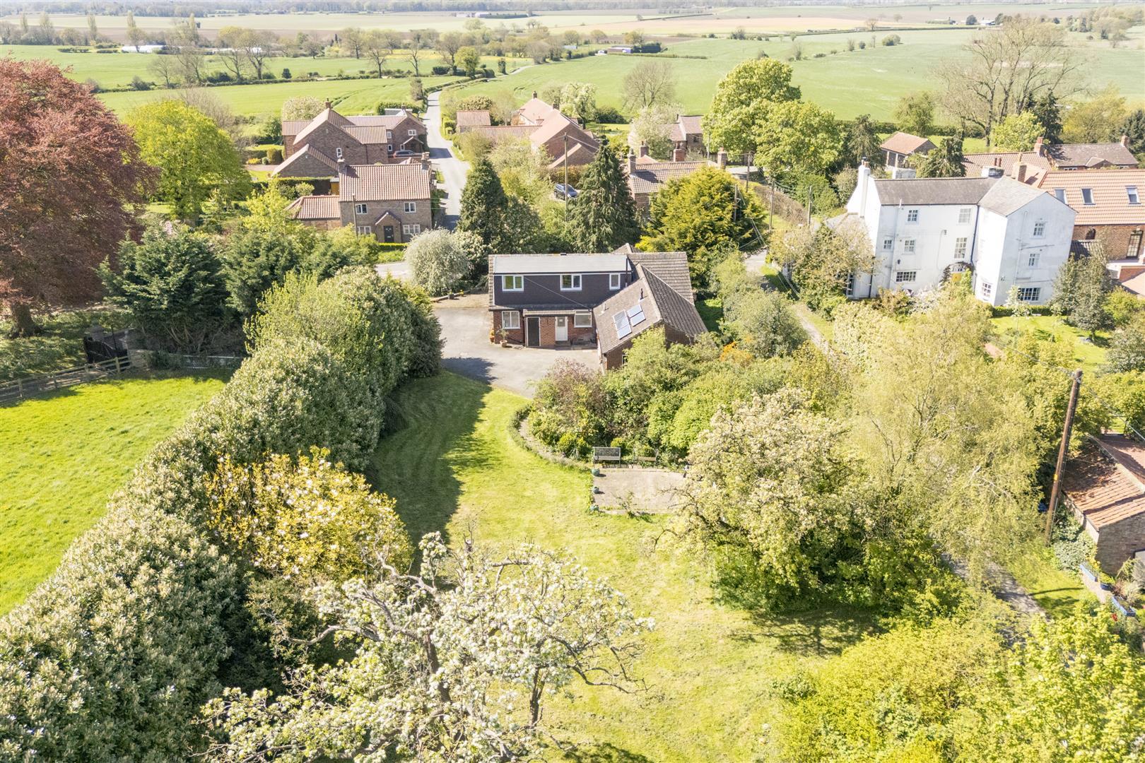 Image 29
