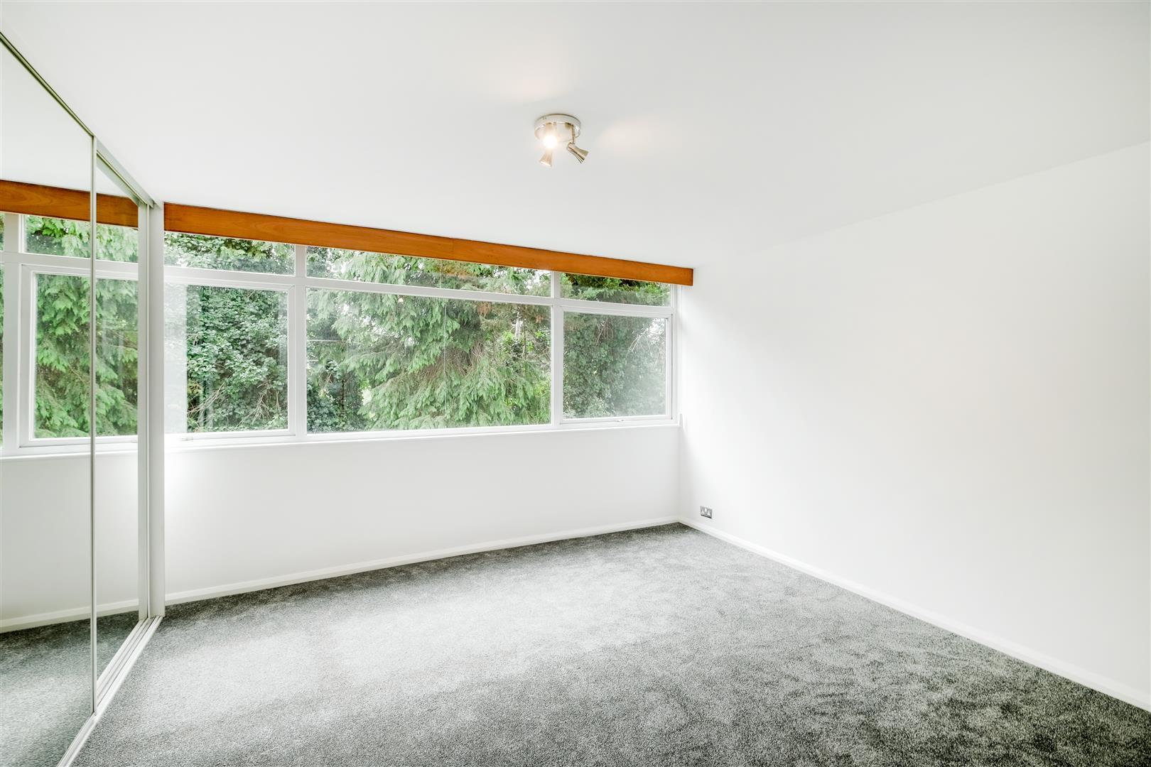 Property Image 59d512a1-e79d-4370-bef1-19dd116fa7b9
