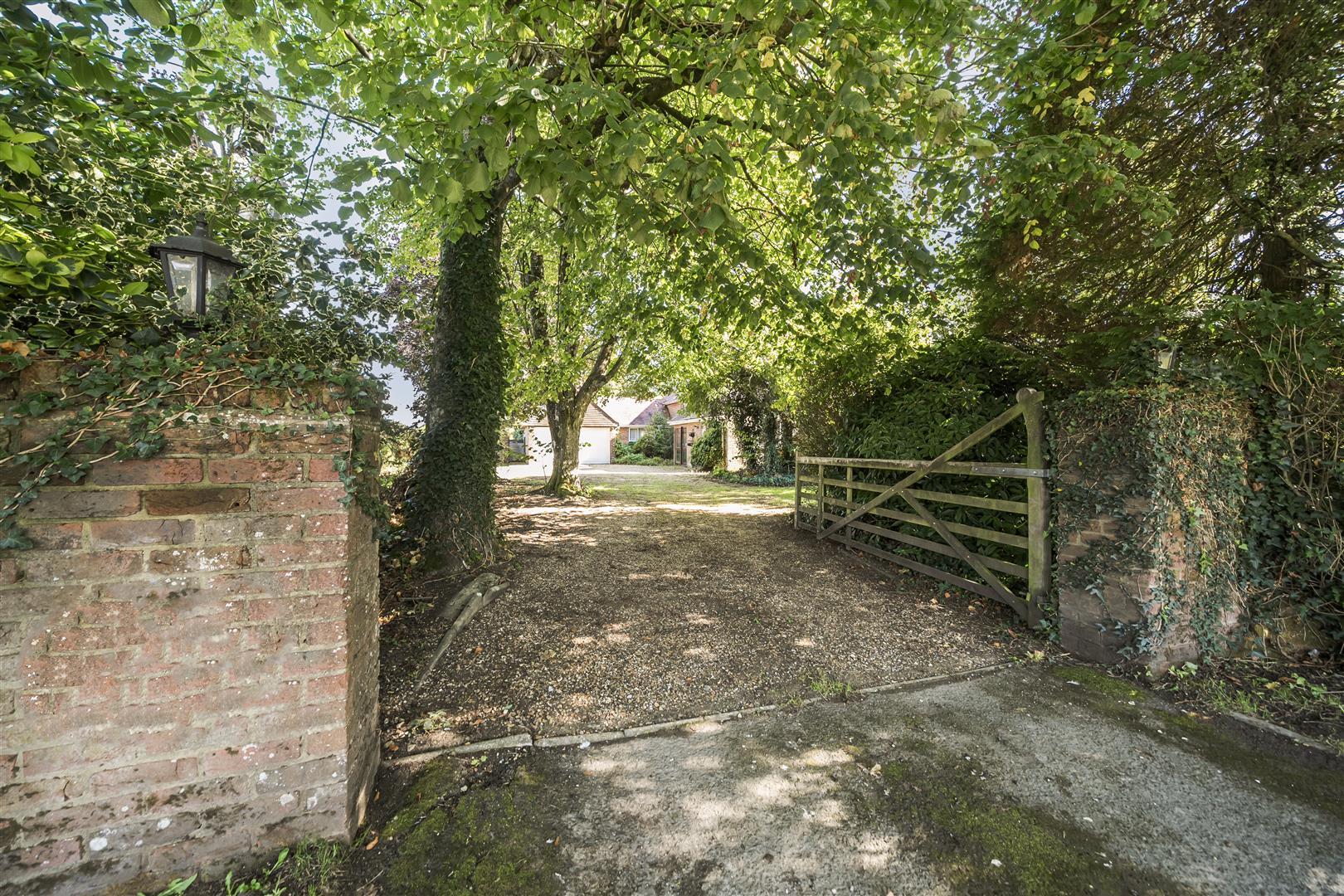 Image 20