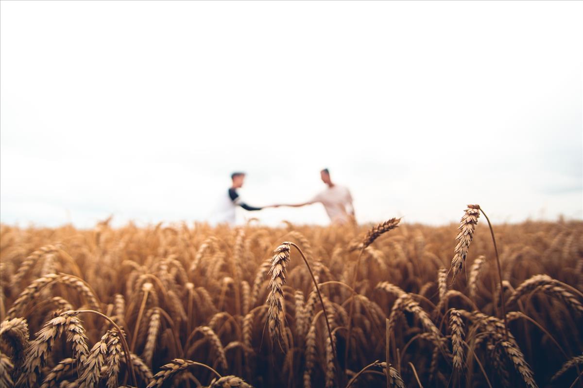 succession planning for future security