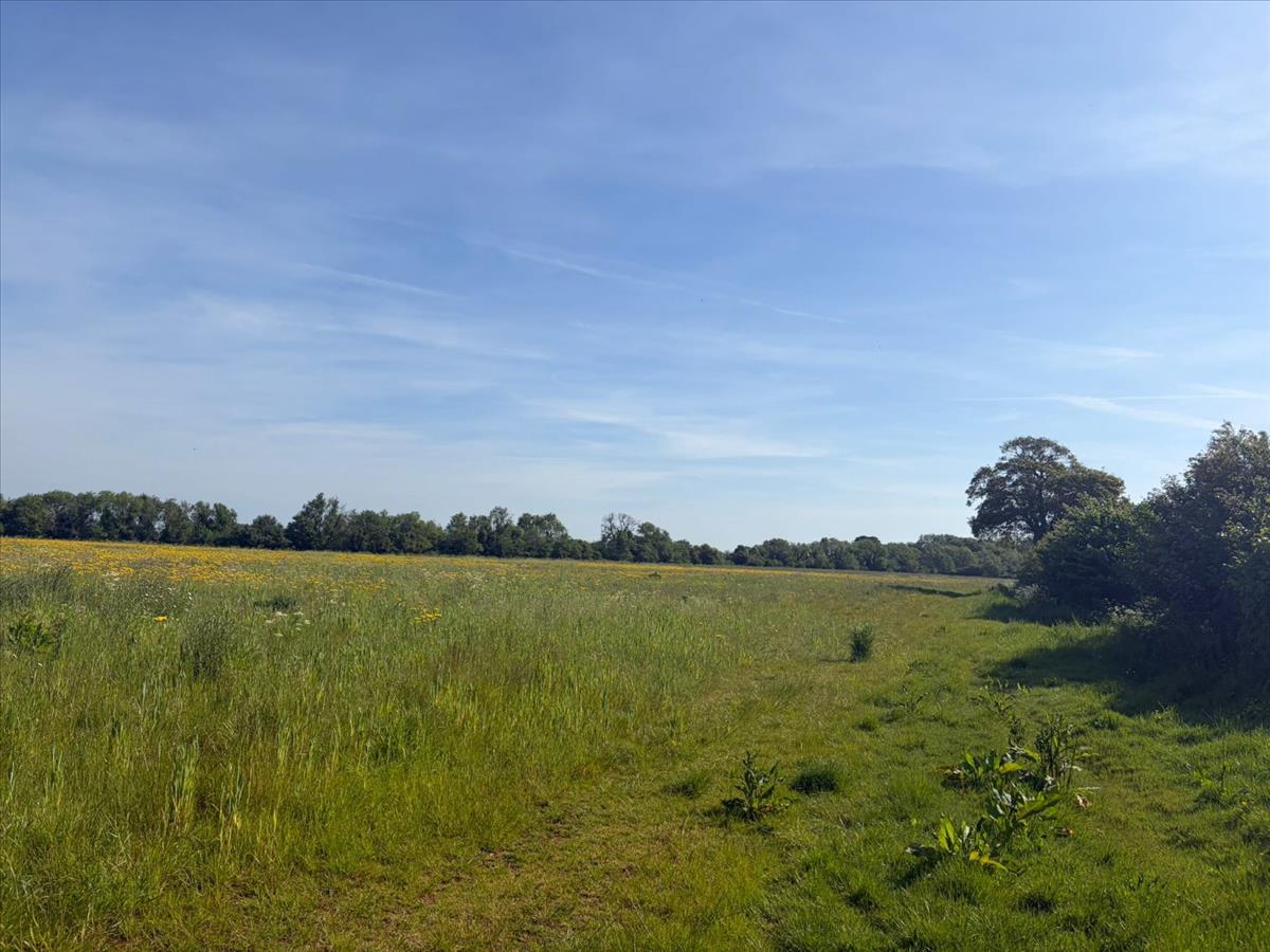 Property Image 5a0ad77c-bcc1-44cd-a943-4c77f488e429