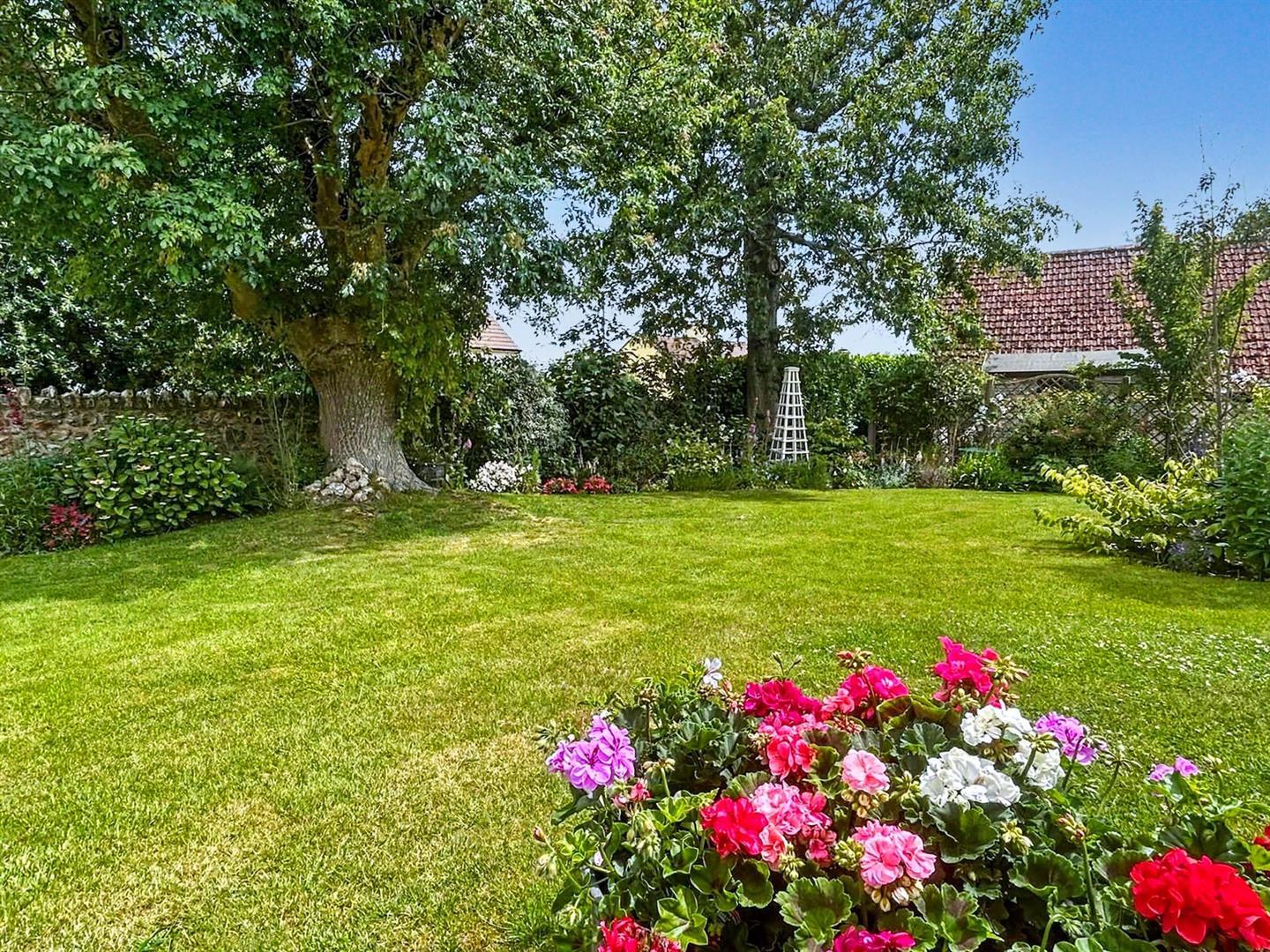 Property Image 5a1b84f4-88d8-4c59-8dd6-9b26a87055a3