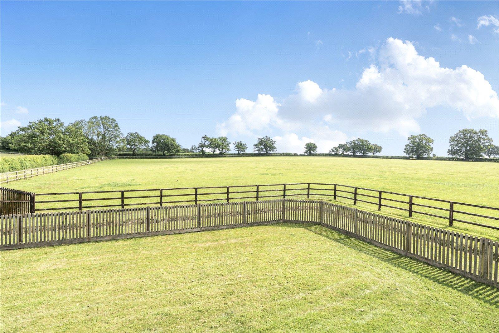 Property Image 5a40da30-1d69-43e4-b2fb-23e453a7d0aa