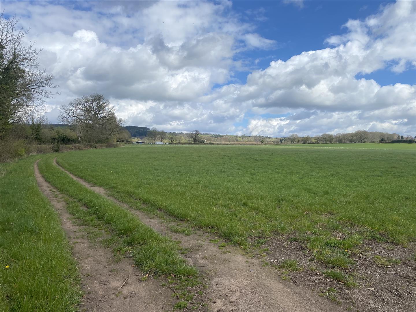Property Image 5a50427c-5fb7-47a5-ade9-8e4a29535c52