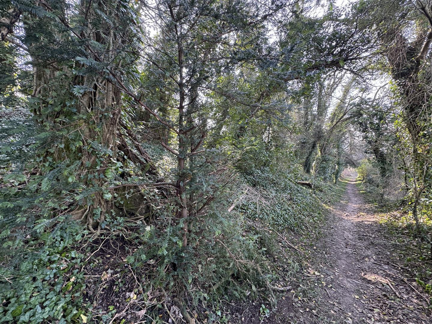 Property Image 5a5ccd4b-b3c9-4902-b875-7183d478189f