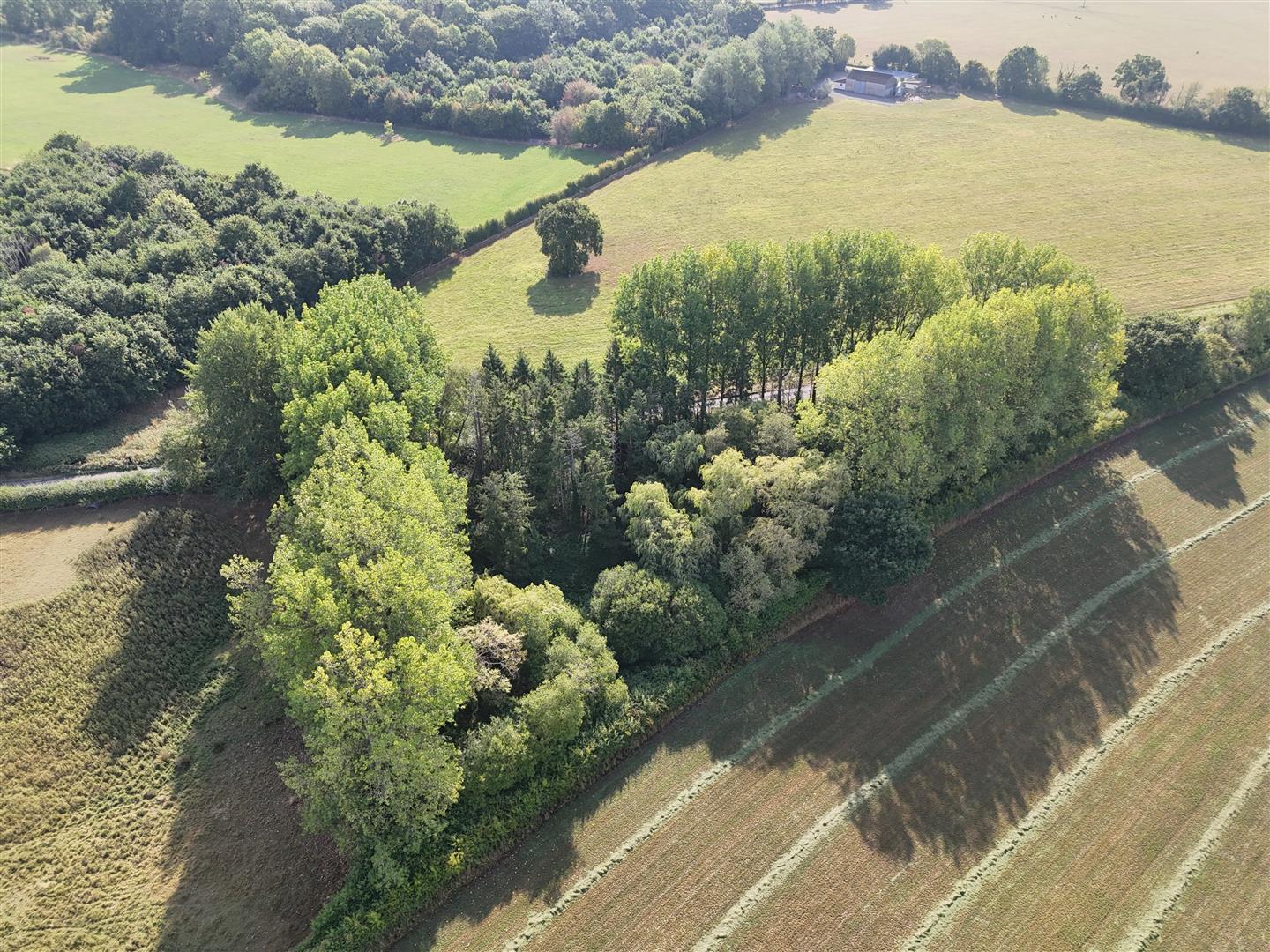 Property Image 5a8ffdb9-5ef1-4943-85f4-51b08b97b307