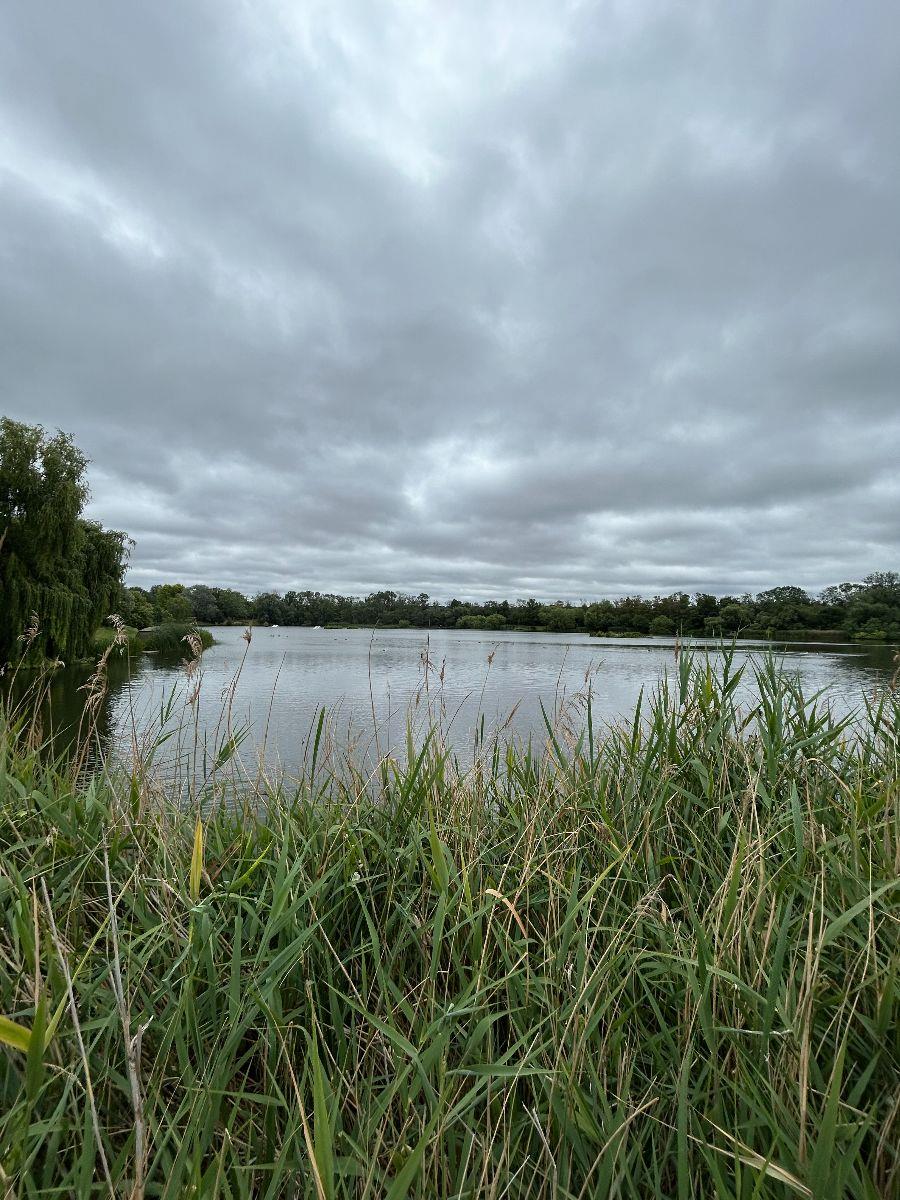 Property Image 5aa9208e-1869-4521-93d3-54c798ad1dd9