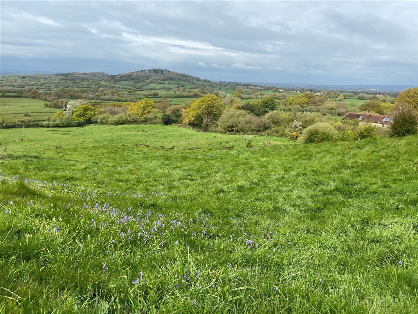 Property Image 5aafa02a-6476-46f5-b04a-0487d02f0336