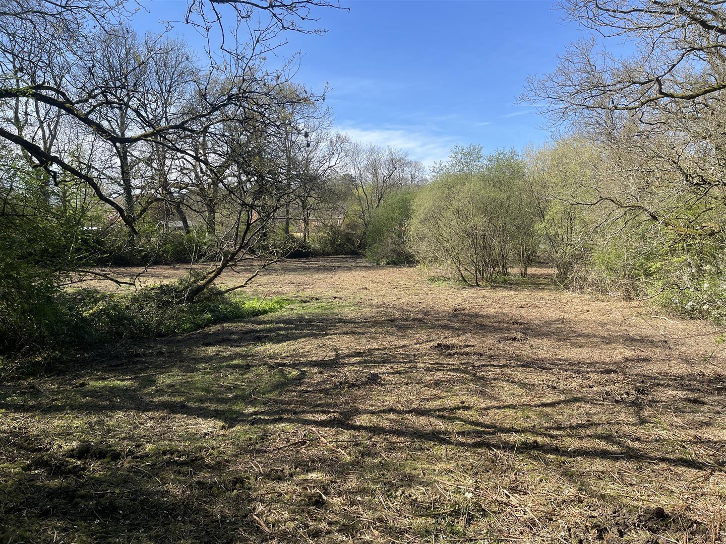 Property Image 5abce33e-2734-4dde-85d6-24f21aee195d