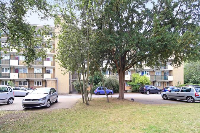 Property Image 5aca2ab4-1920-40a4-b06d-7febeacece1a