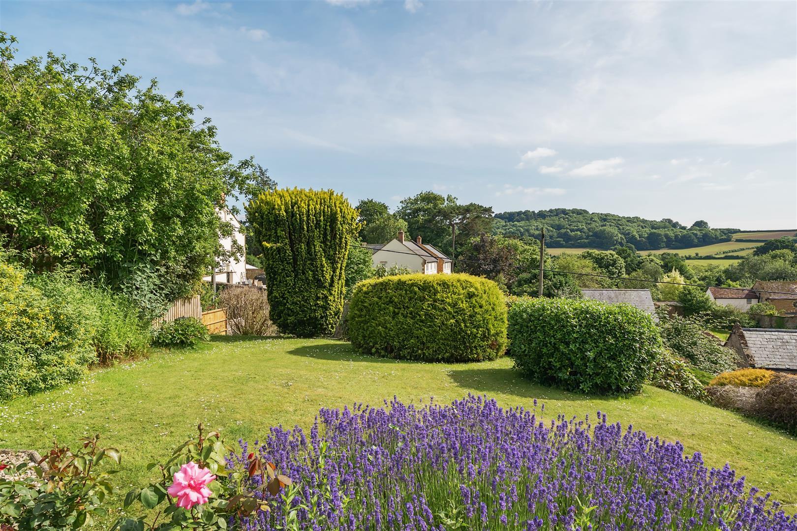 Property Image 5af2b188-5ab4-413b-9227-e91b5354d5e6