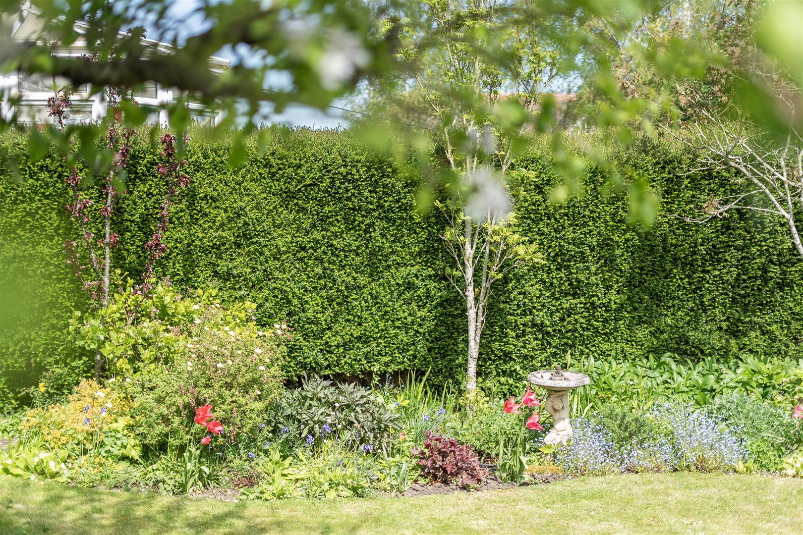 Property Image 5b083716-a66b-411b-978c-3836b3712130