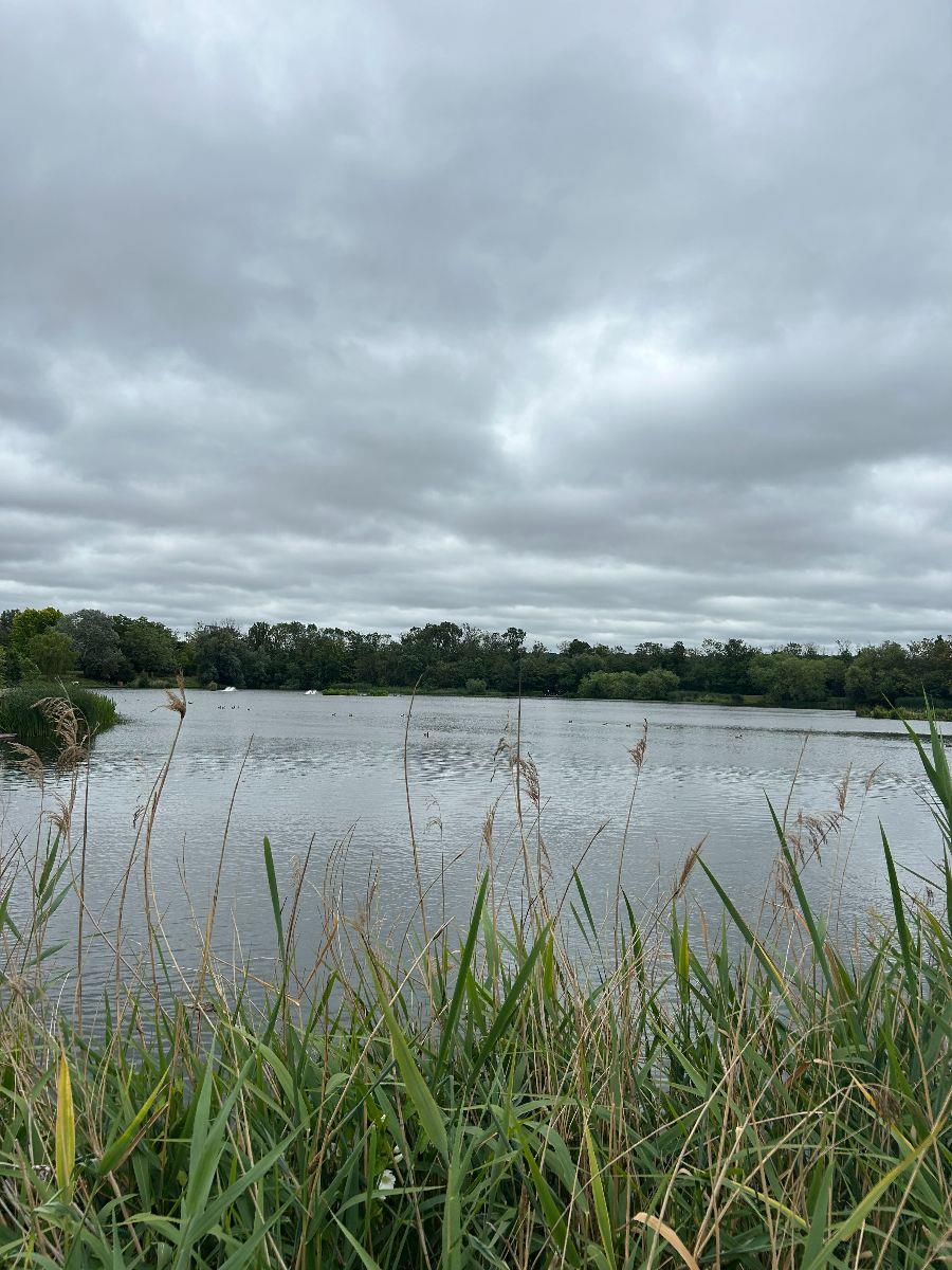 Property Image 5b41f90a-a4e8-466a-9b10-f6aec399e808