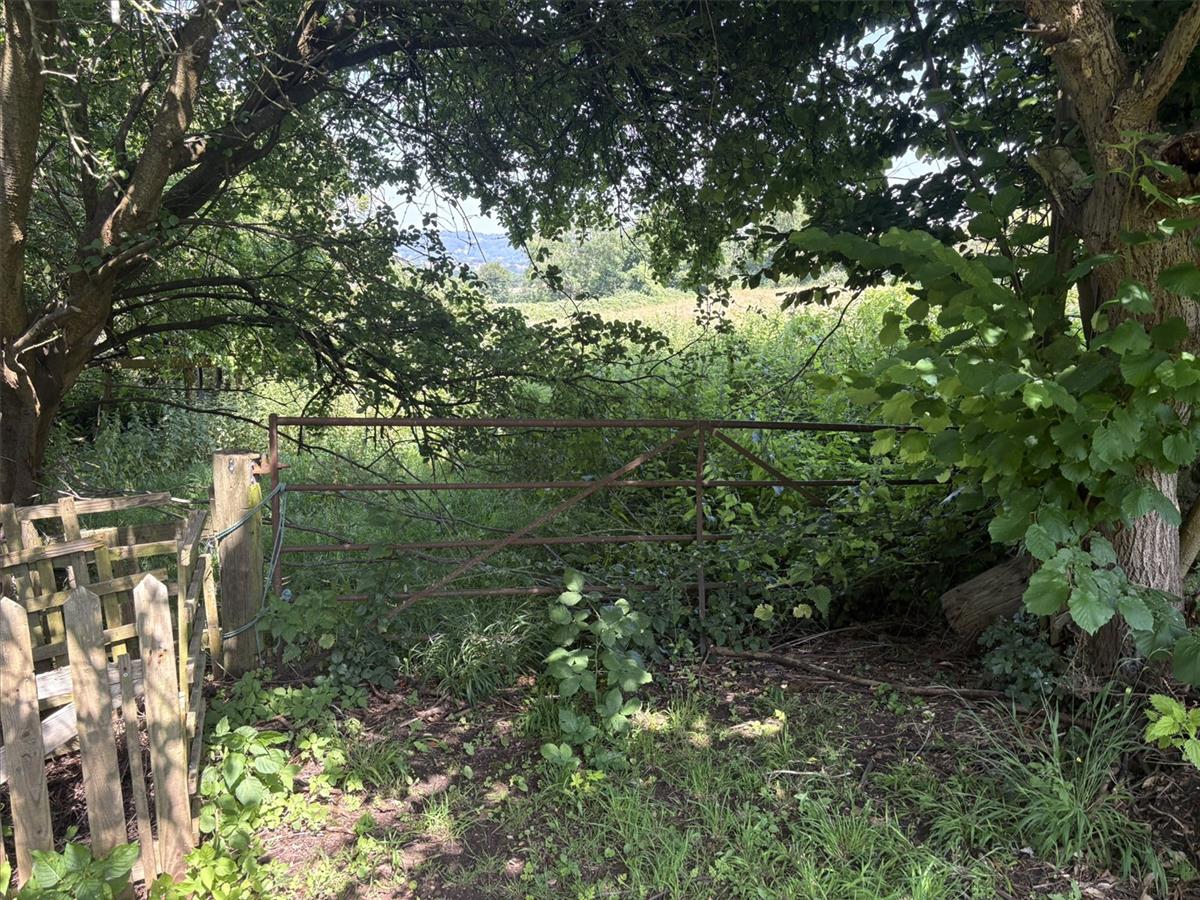 Property Image 5b71c07d-e775-45ee-8ff5-9313c4a2ceba