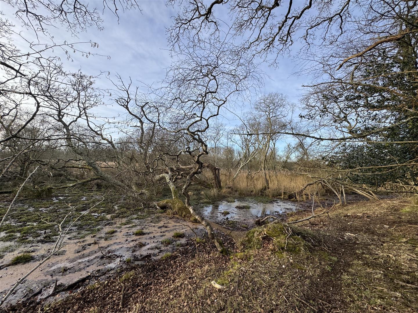 Property Image 5b94aabc-6d4a-4a82-a6ea-5381c4be7695