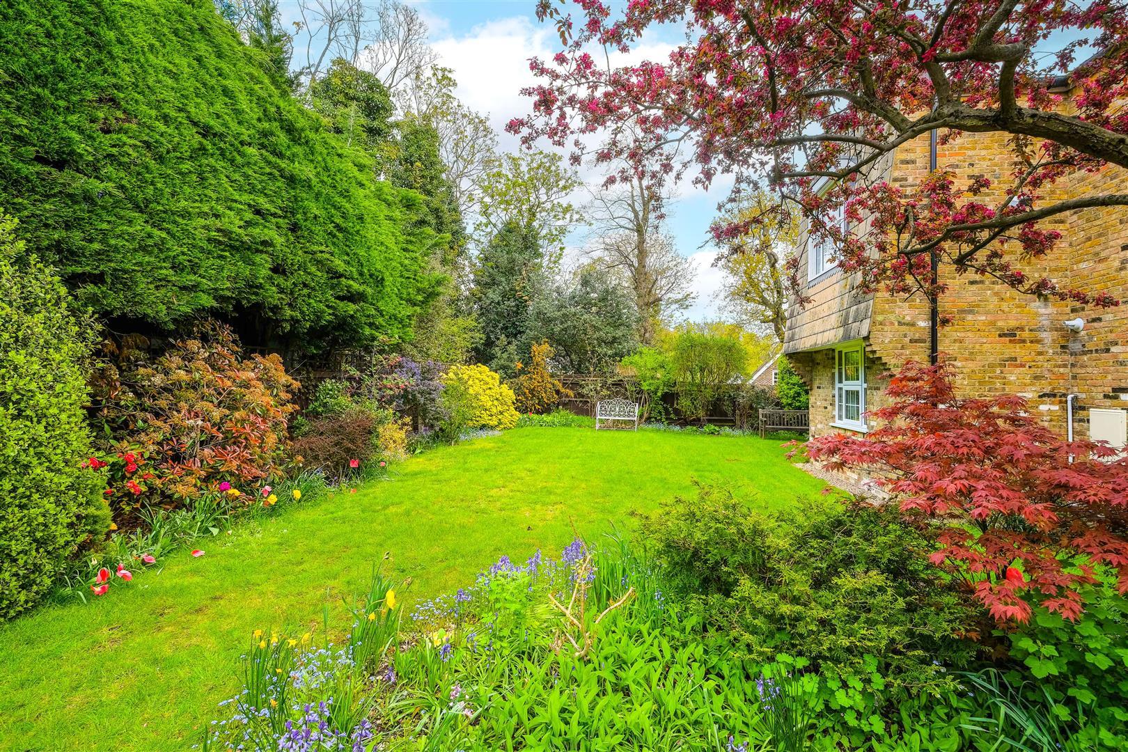 Property Image 5ba31e15-8b09-4358-b6b8-ed08fce0d057