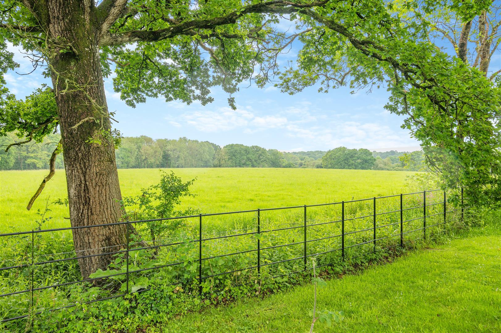 Property Image 5bc1607e-08f1-4f74-ace4-ca6e8eaeb1e0