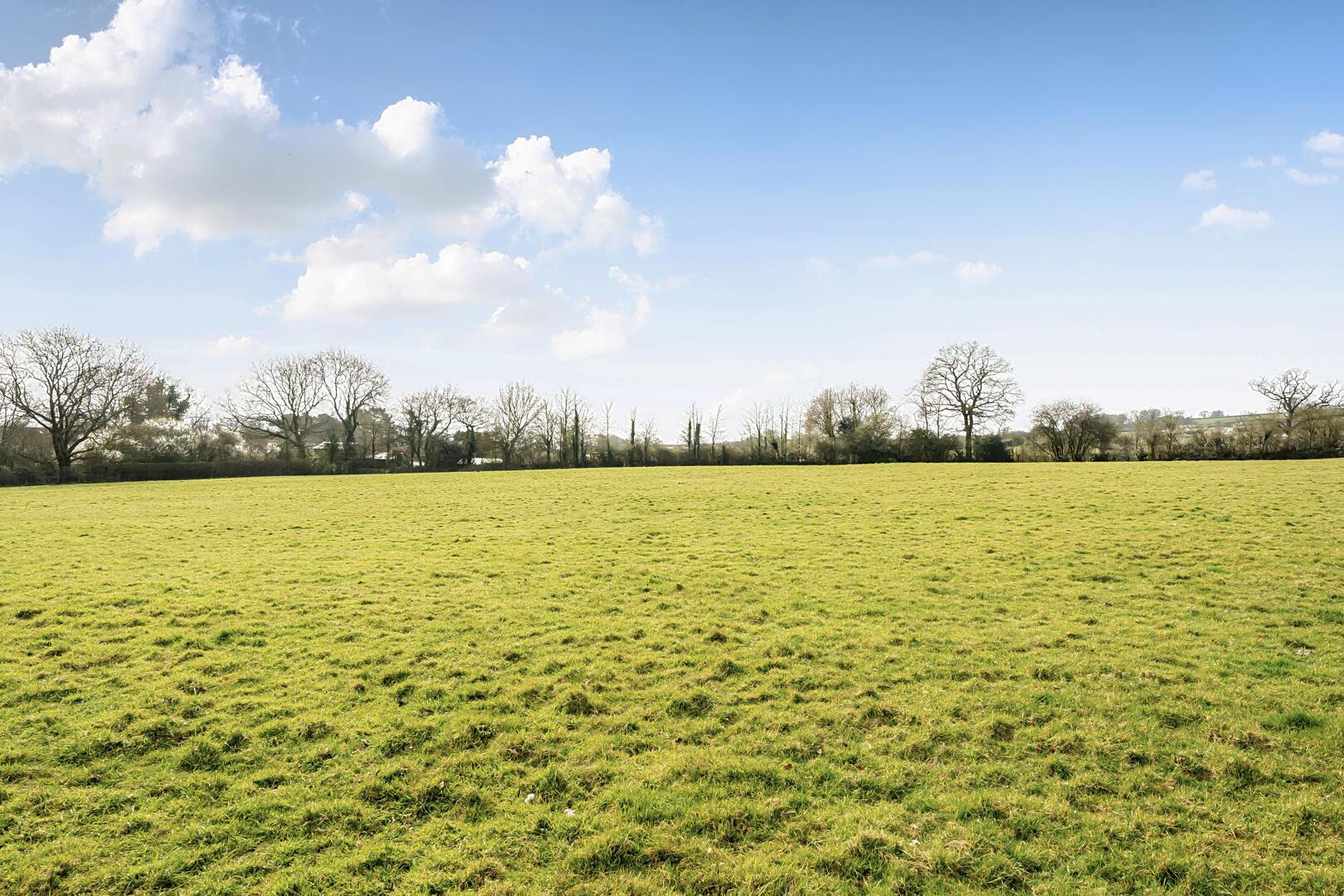 Property Image 5c56e4c4-b259-4dd9-a56b-f20610b18559