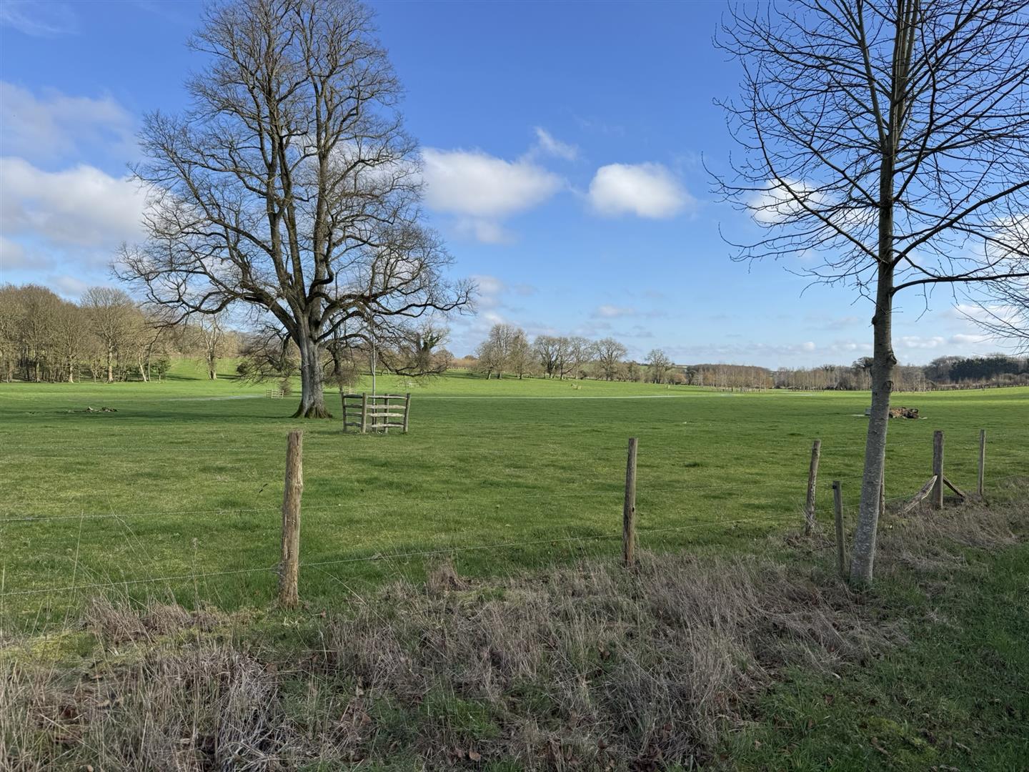 Property Image 5c646299-bb6a-4ae8-bd1c-39978400791c