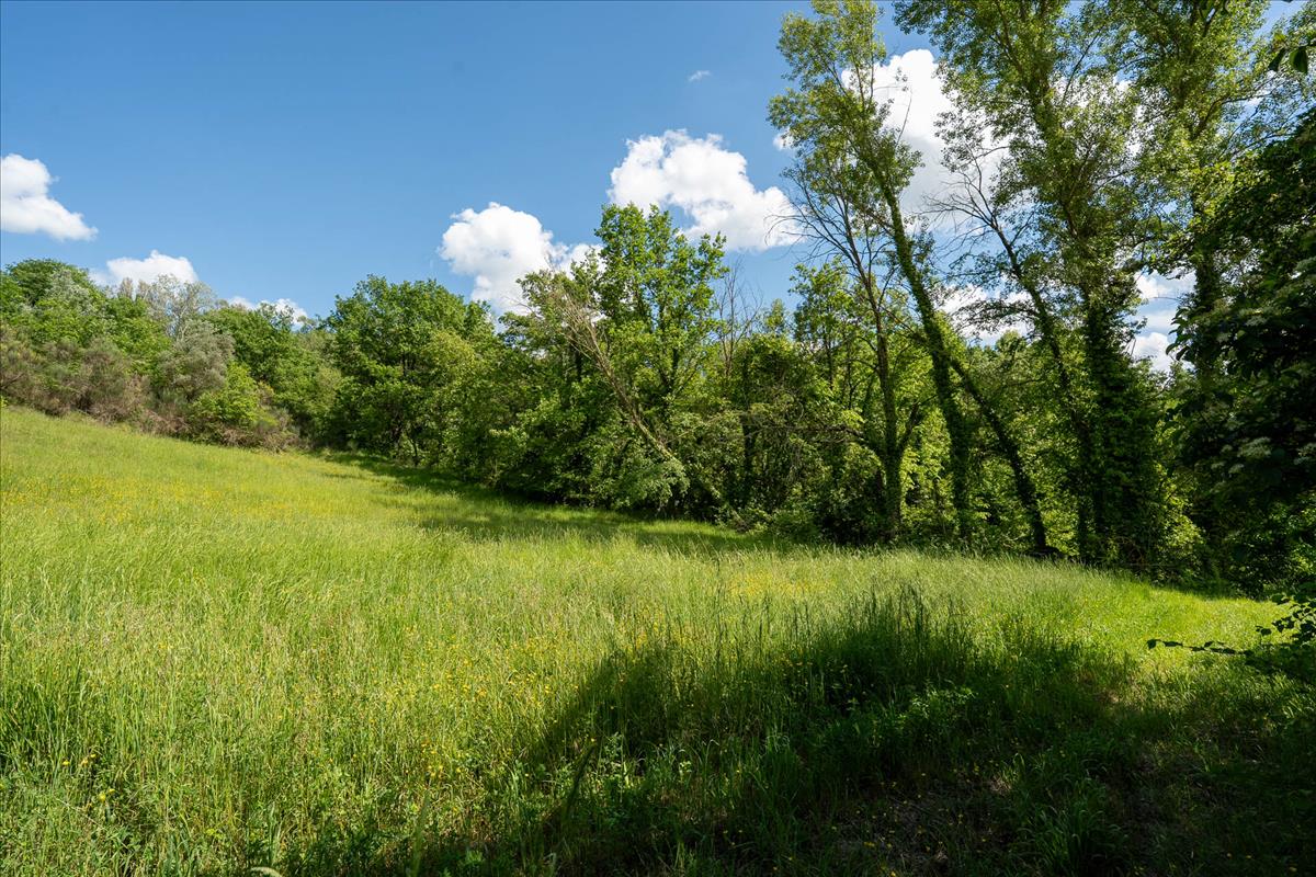 Property Image 5c84bf0c-e454-403a-abd3-5d65e04c5d21