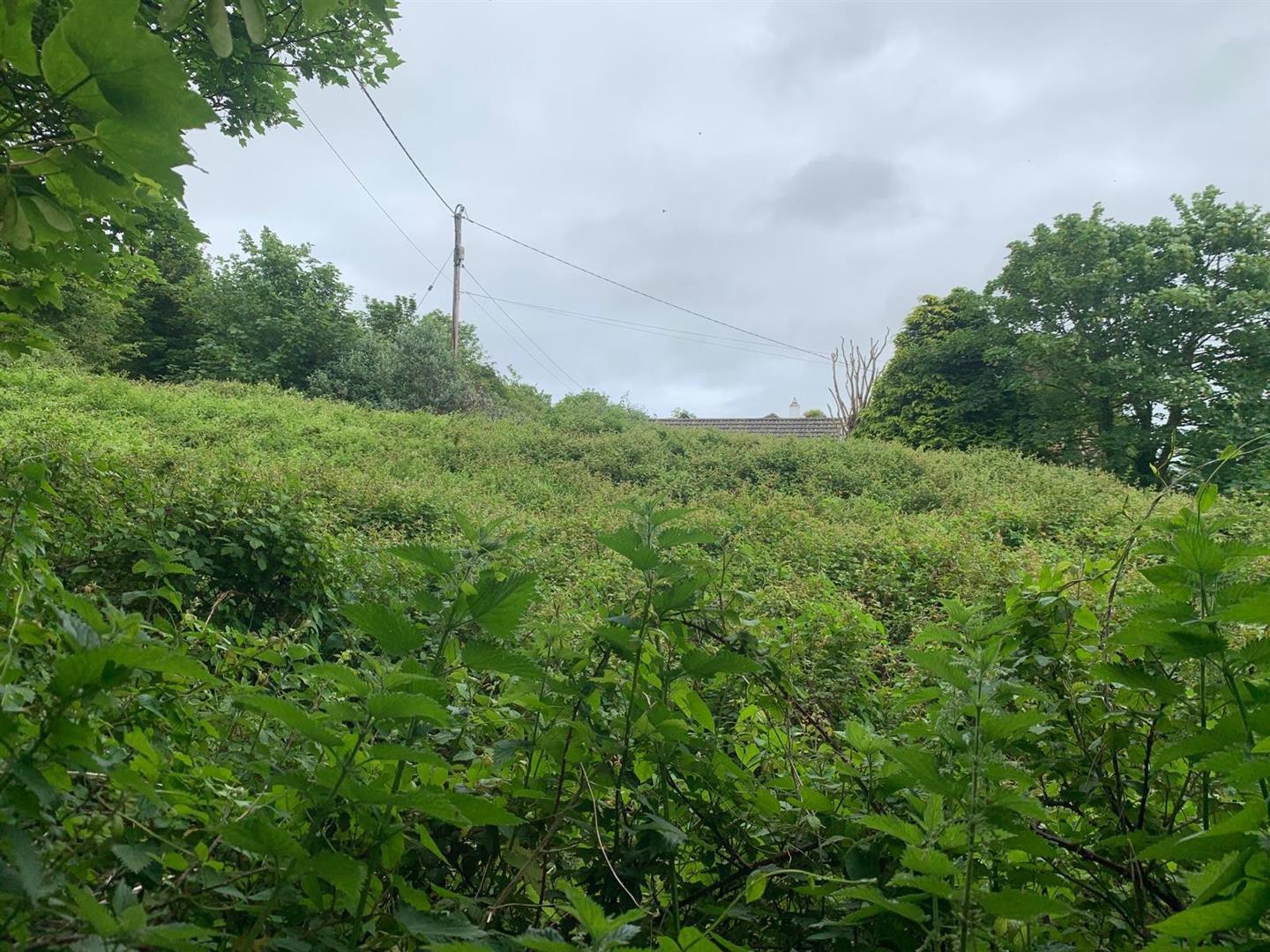 Property Image 5c8e9dfb-c74f-4dab-8d1d-e2b6a2943414
