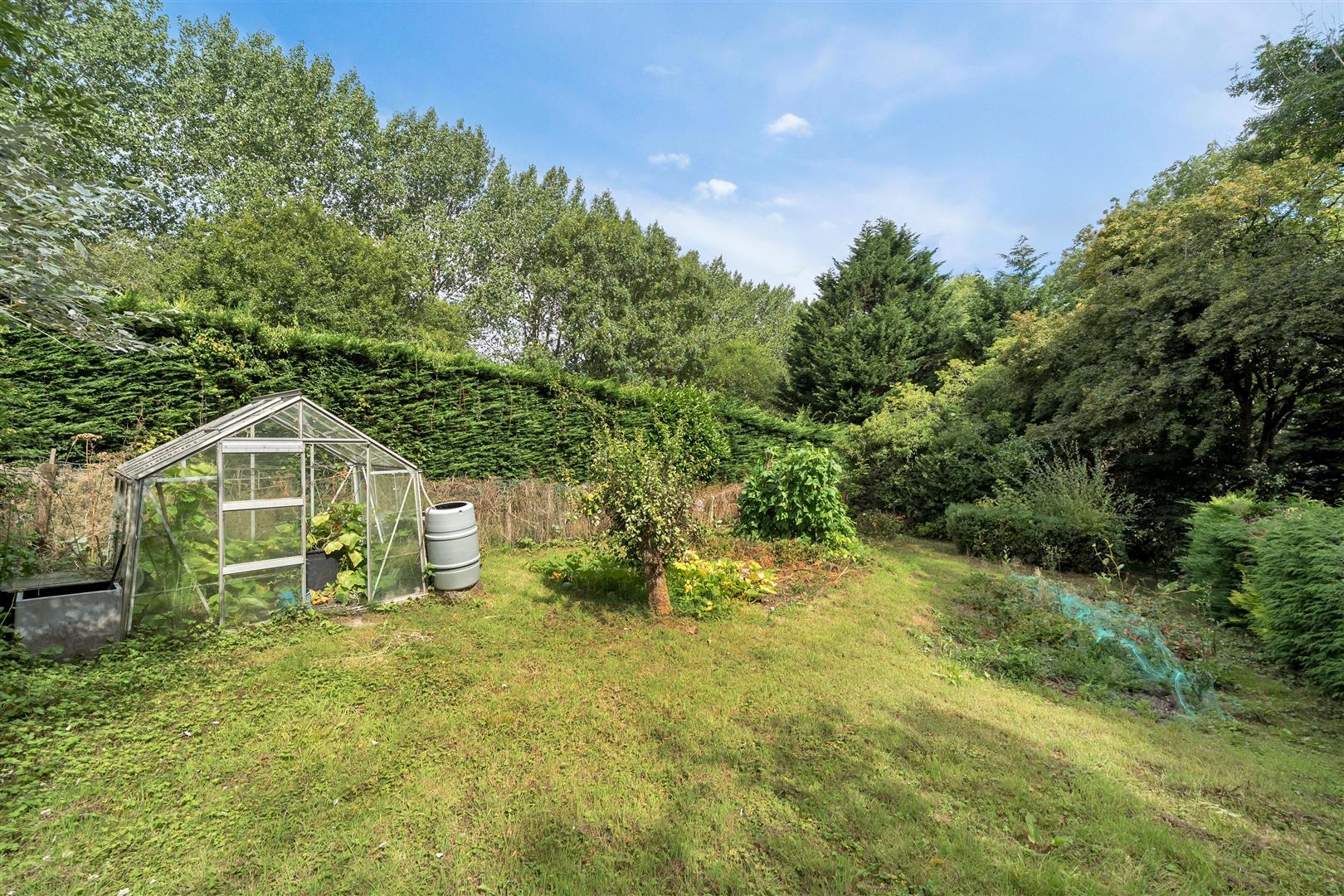 Property Image 5cc13c27-3396-4fb2-beed-13b0930a4daa