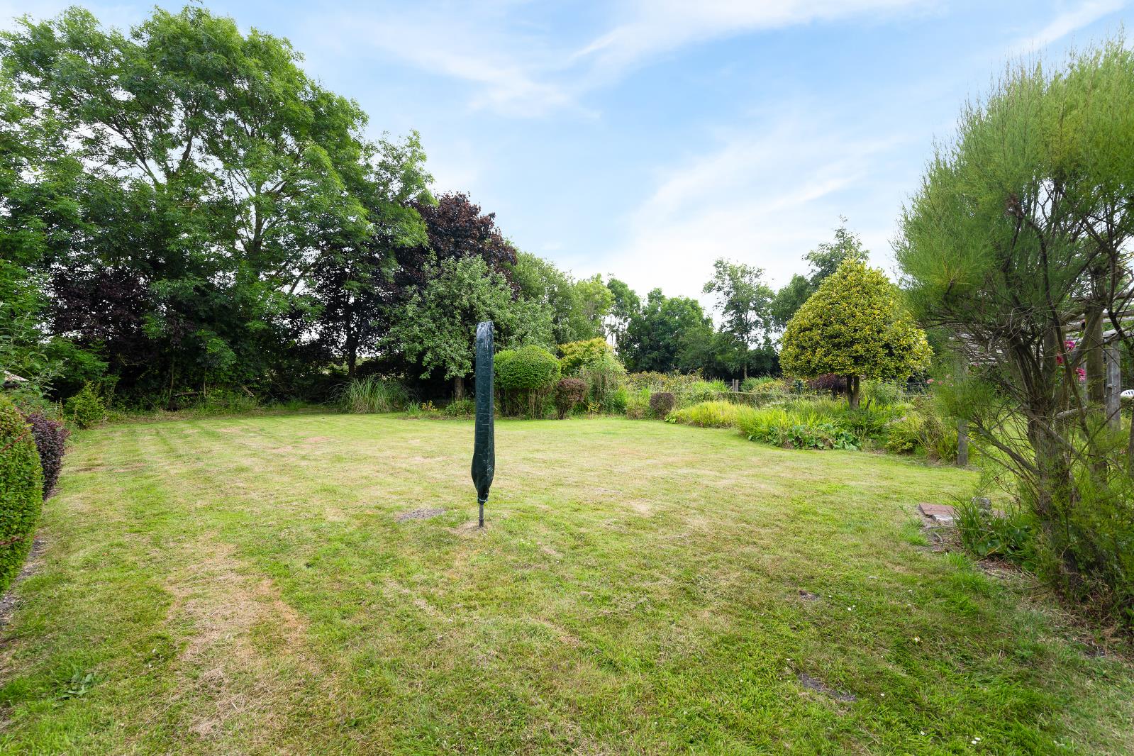 Property Image 5cc5582a-35e4-4fc4-a90c-821daf775aa6