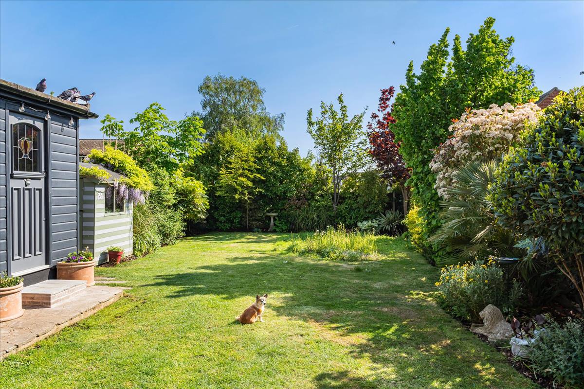 Property Image 5dc90be0-fd86-485a-b4de-5855cd6d6998