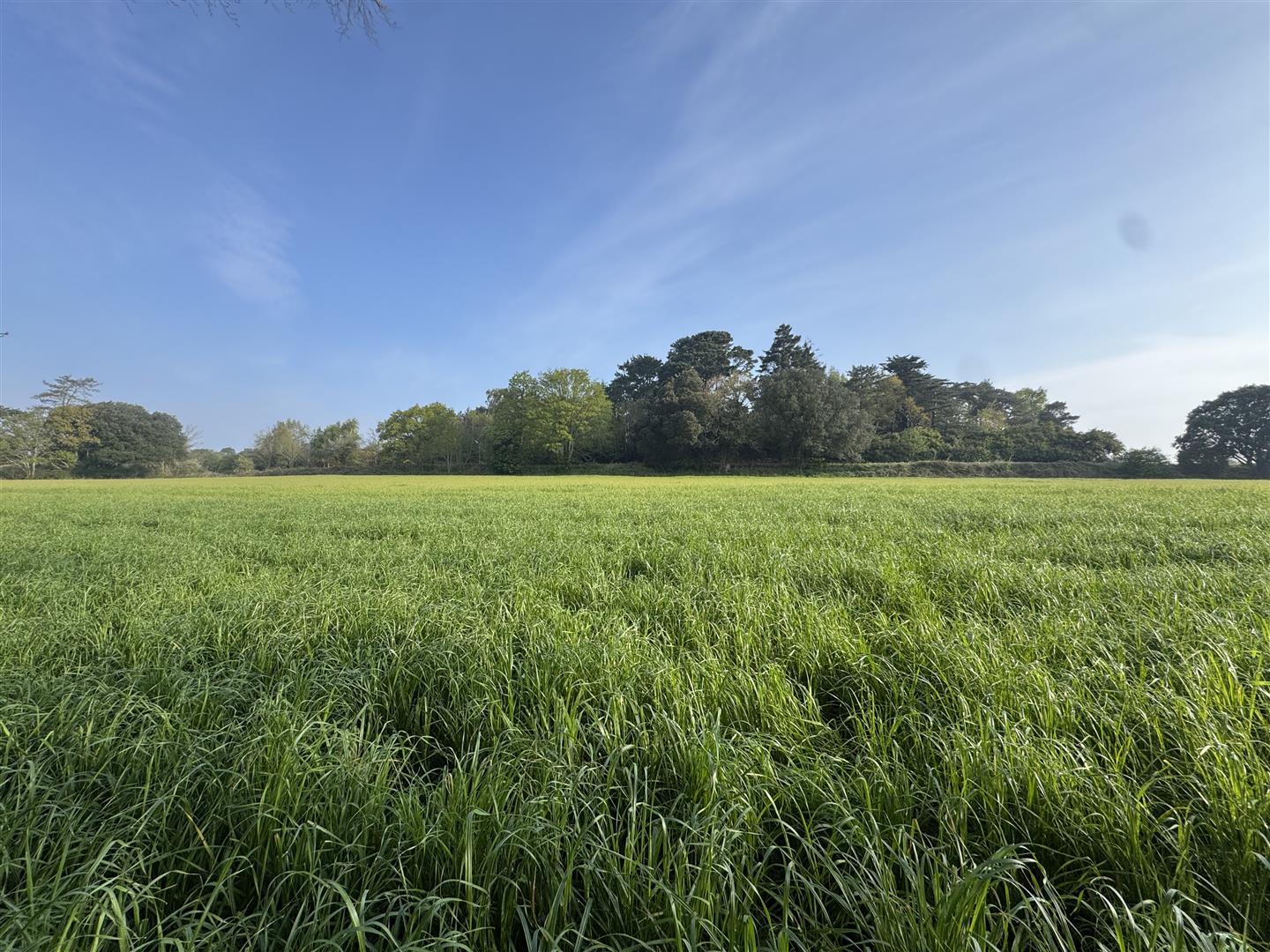 Property Image 5e0b494c-94a6-40e3-b4ec-b7034d6d7d49