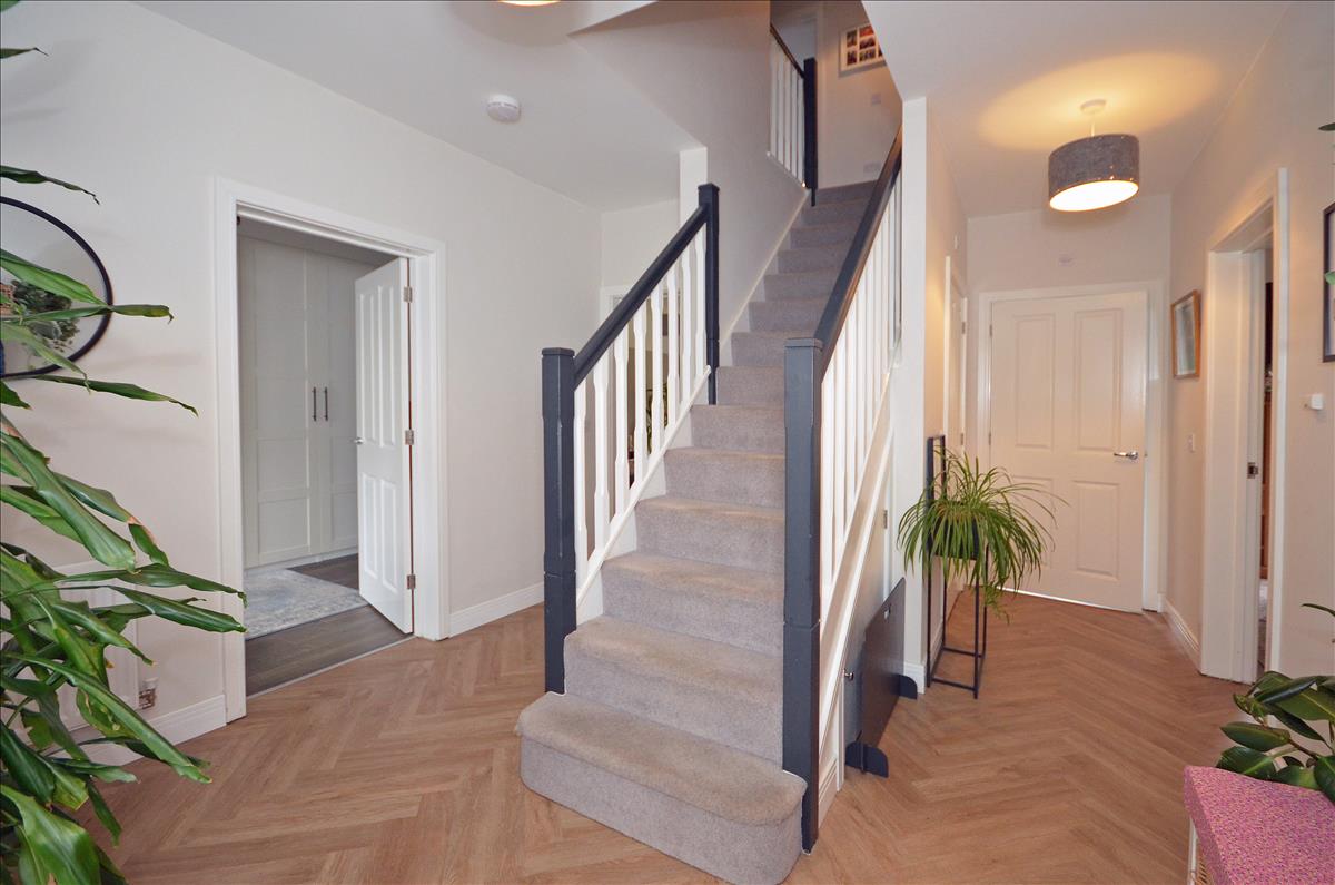 Property Image 5e3419eb-c147-45fc-8b08-f277b64f36c5