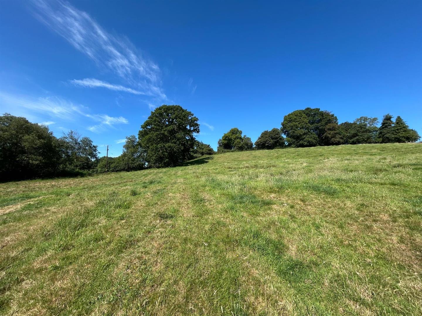 Property Image 5ea57aec-96cc-4498-9aab-656e43c03461