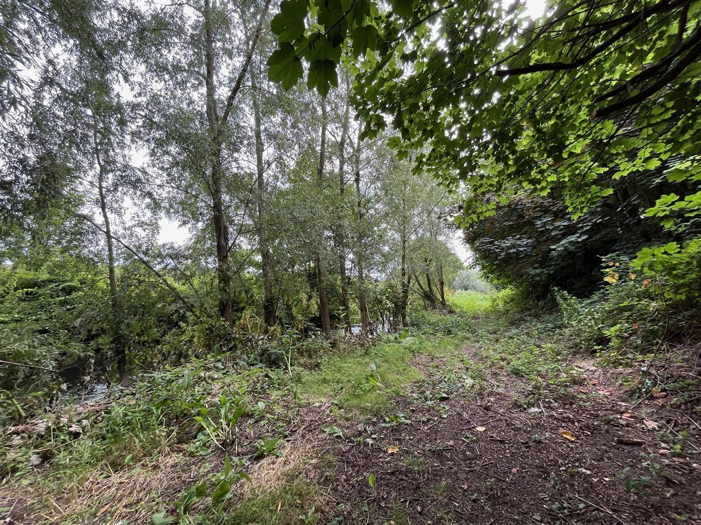 Property Image 5eaaa0d9-1bda-42c5-97a1-3cc0041056aa
