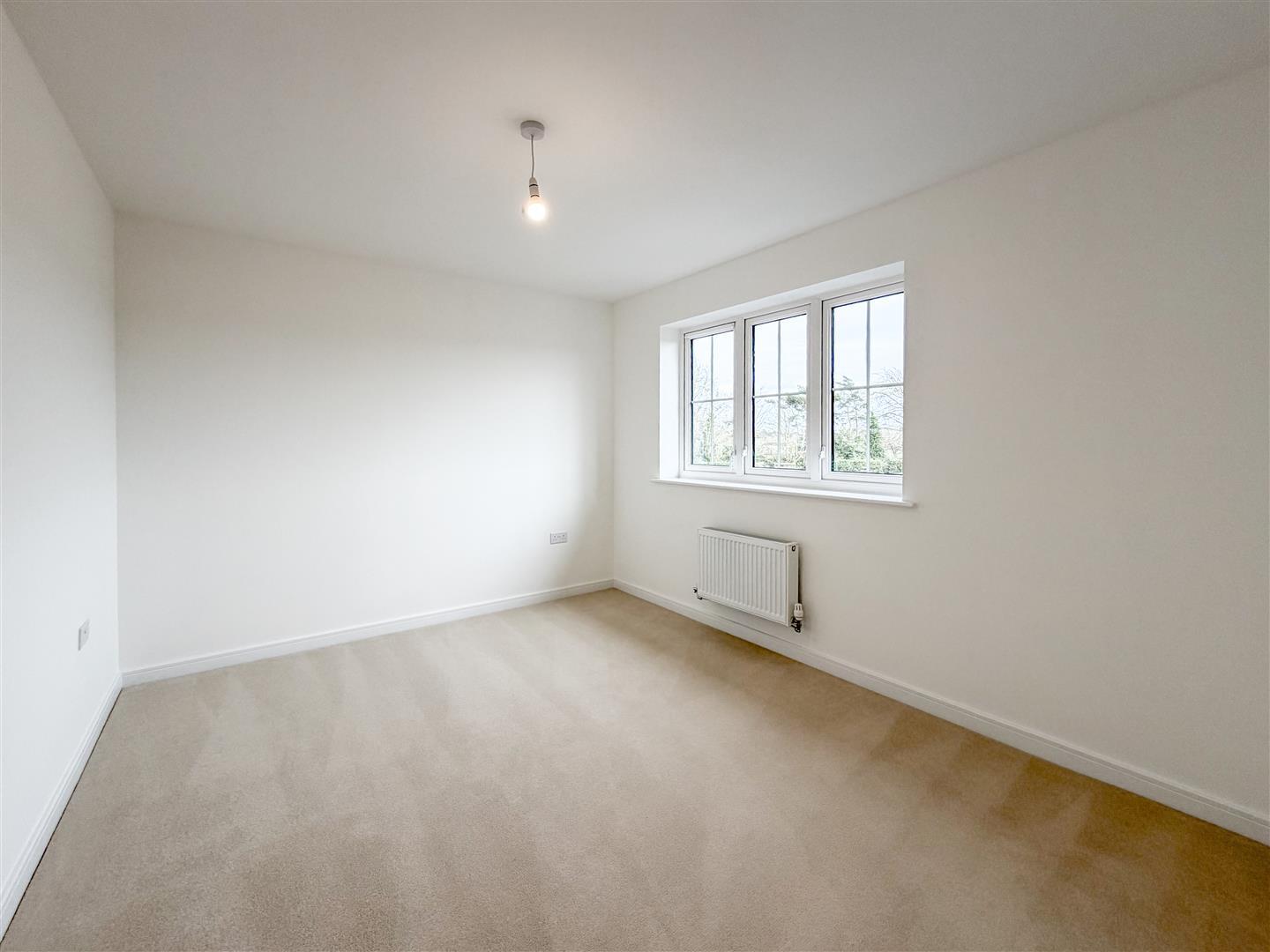 Property Image 5f2101c9-9ffa-4c04-a04b-02bdc1c56fba