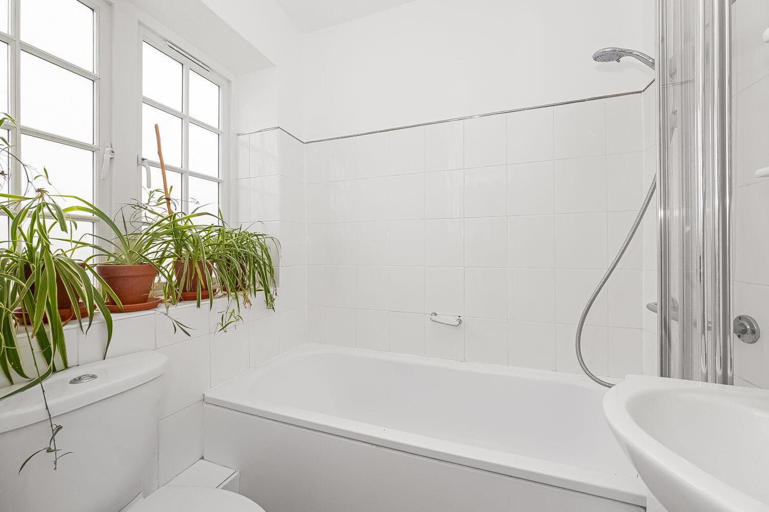 Property Image 5f5541a3-4e7a-403d-855c-e45784602109