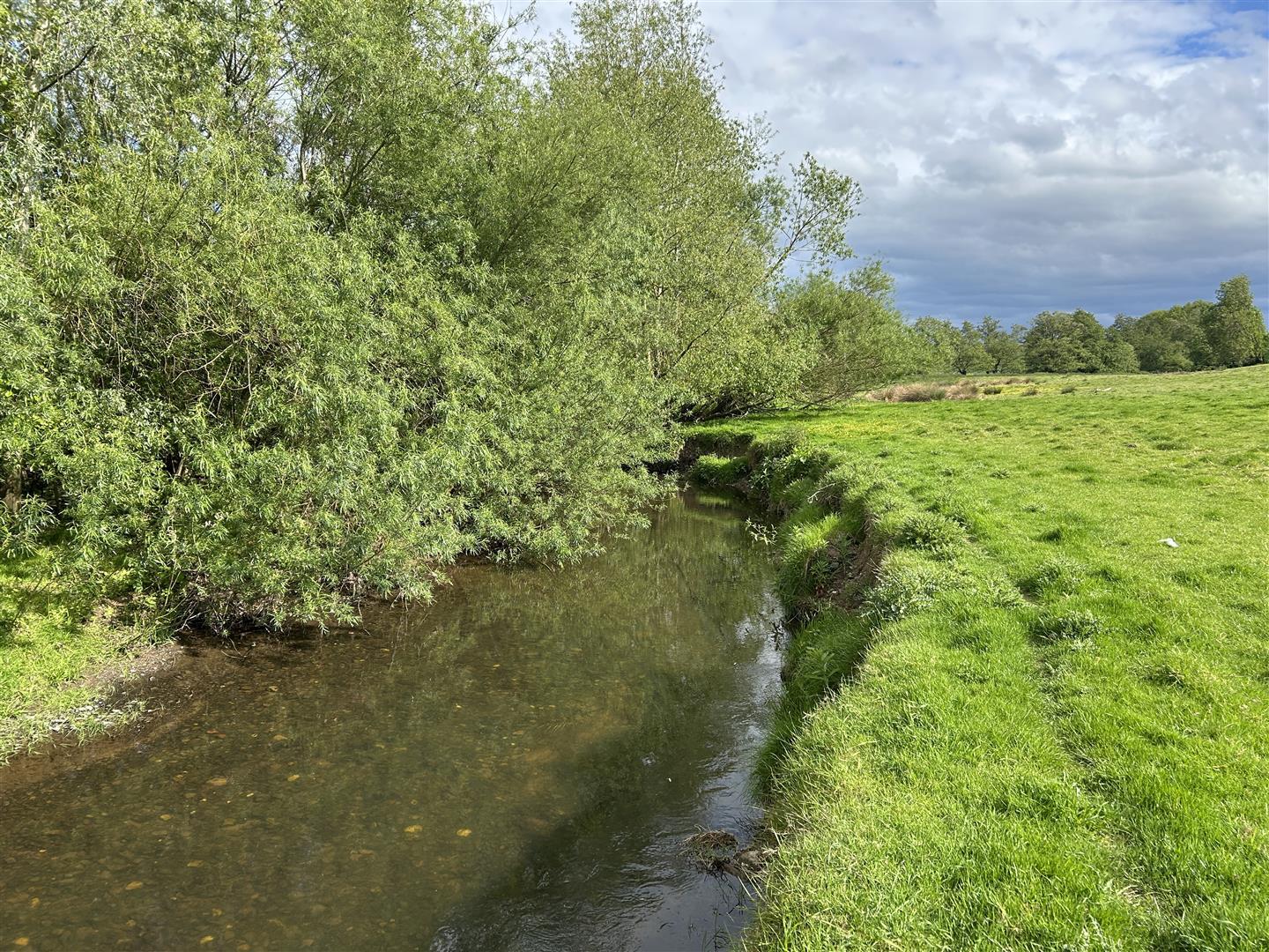 Property Image 5f799435-e0cf-4bfa-a4ed-4c29b3e14bbe