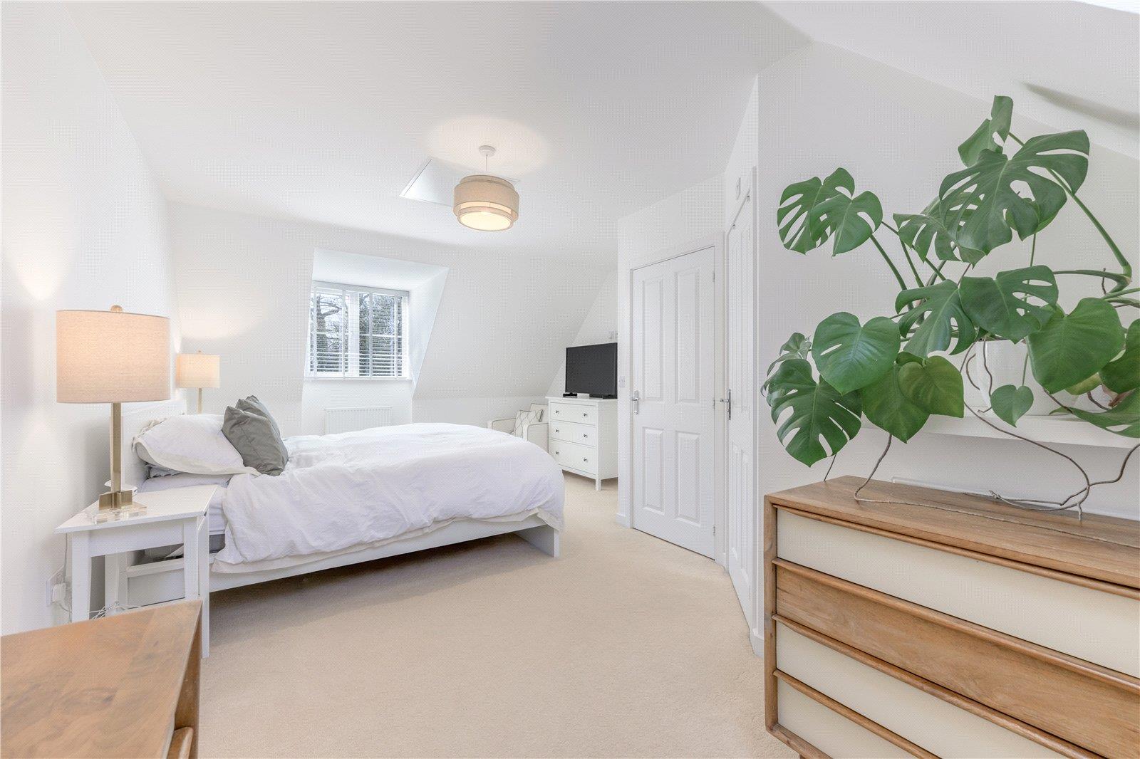 Property Image 5fc4ffda-ba12-41dd-9f50-79f177bfff41