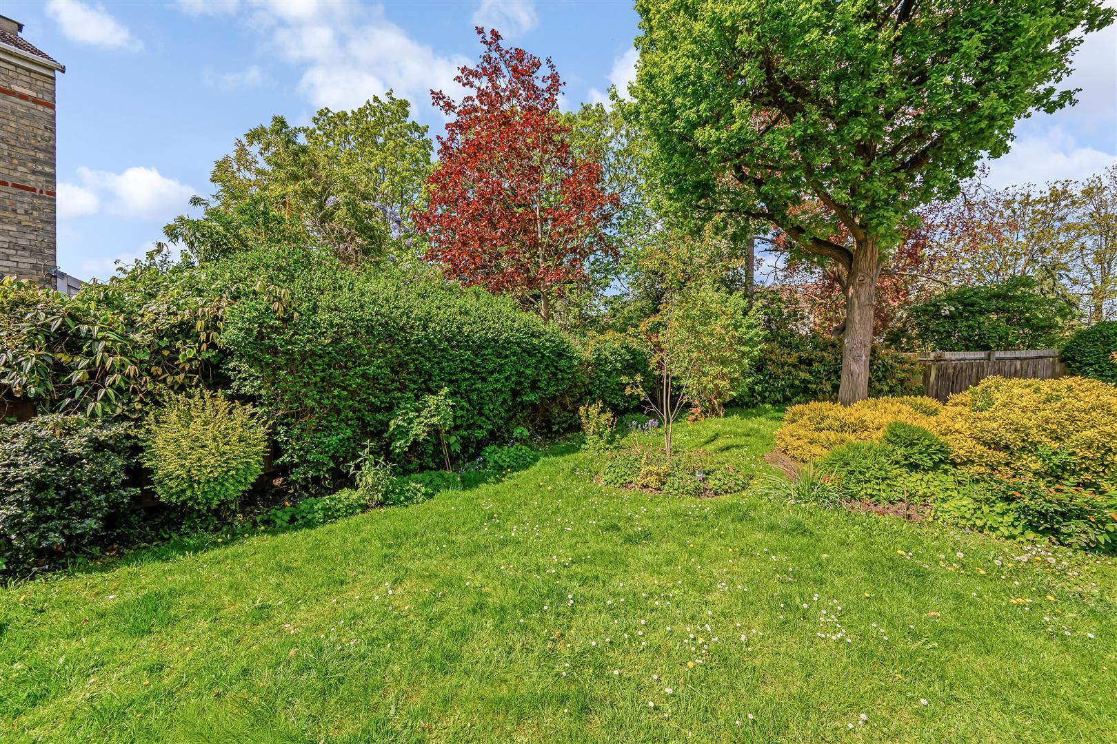 Property Image 602e2edd-6d2f-4606-bf8b-1f98ff1e09ce