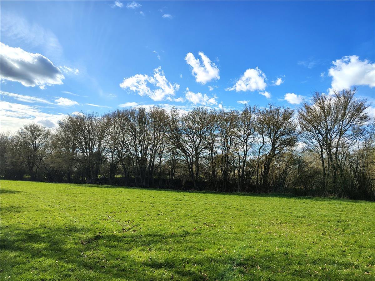 Property Image 6036c5ab-d966-490d-b8c6-d86ea47c0e4c