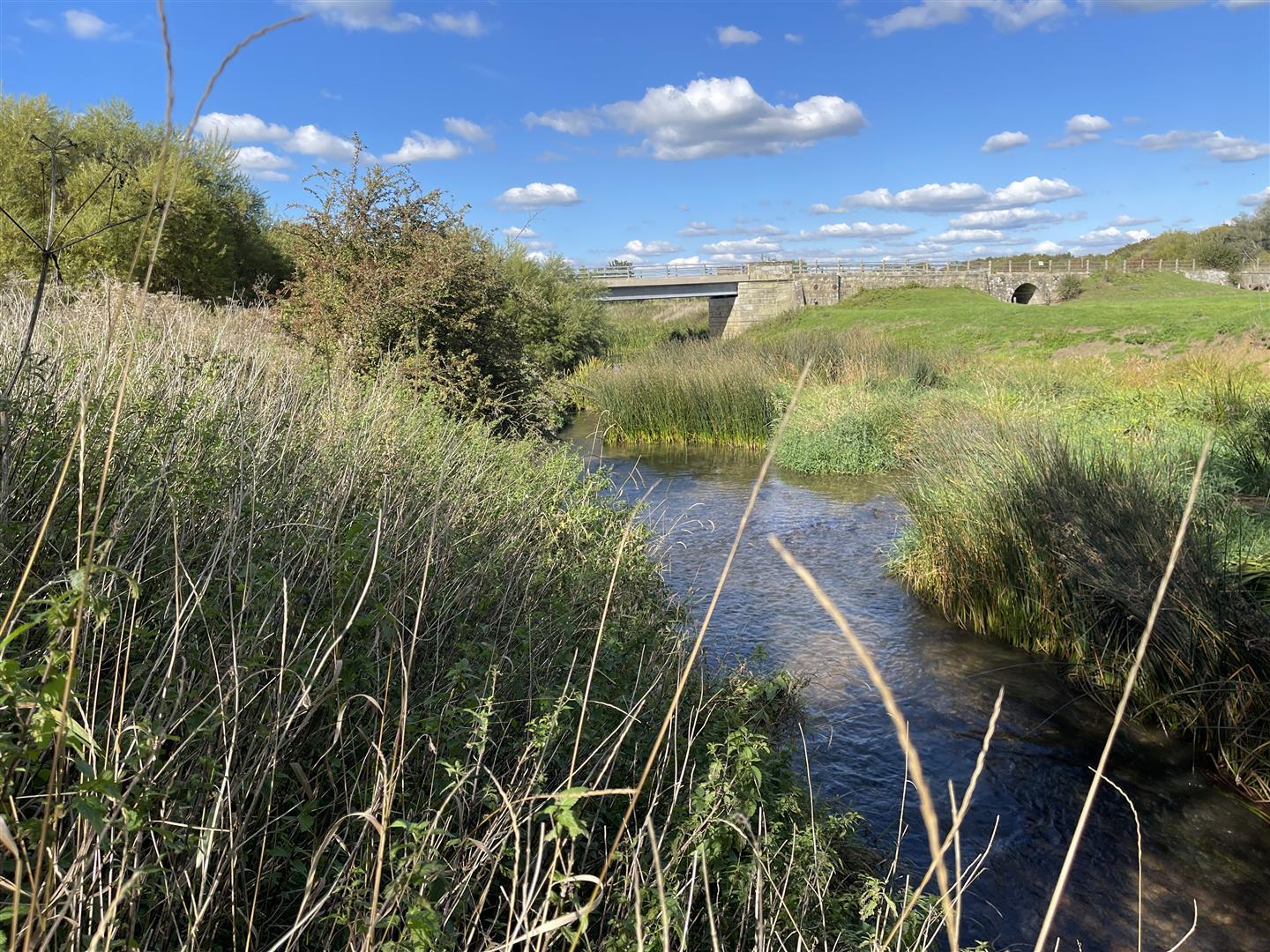 Property Image 6037462b-b305-4124-a8b1-051fd15615be