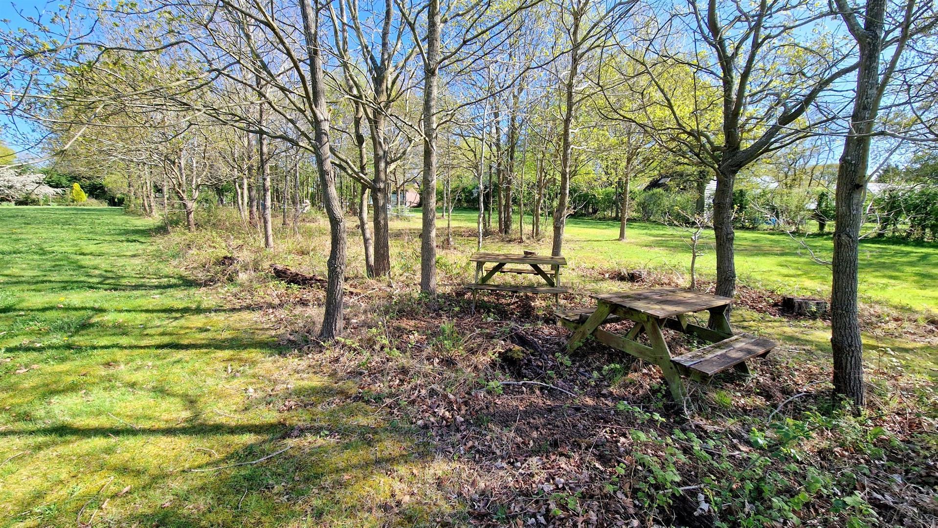 Property Image 605dba05-3fbc-44cc-816d-9082e4611ec1