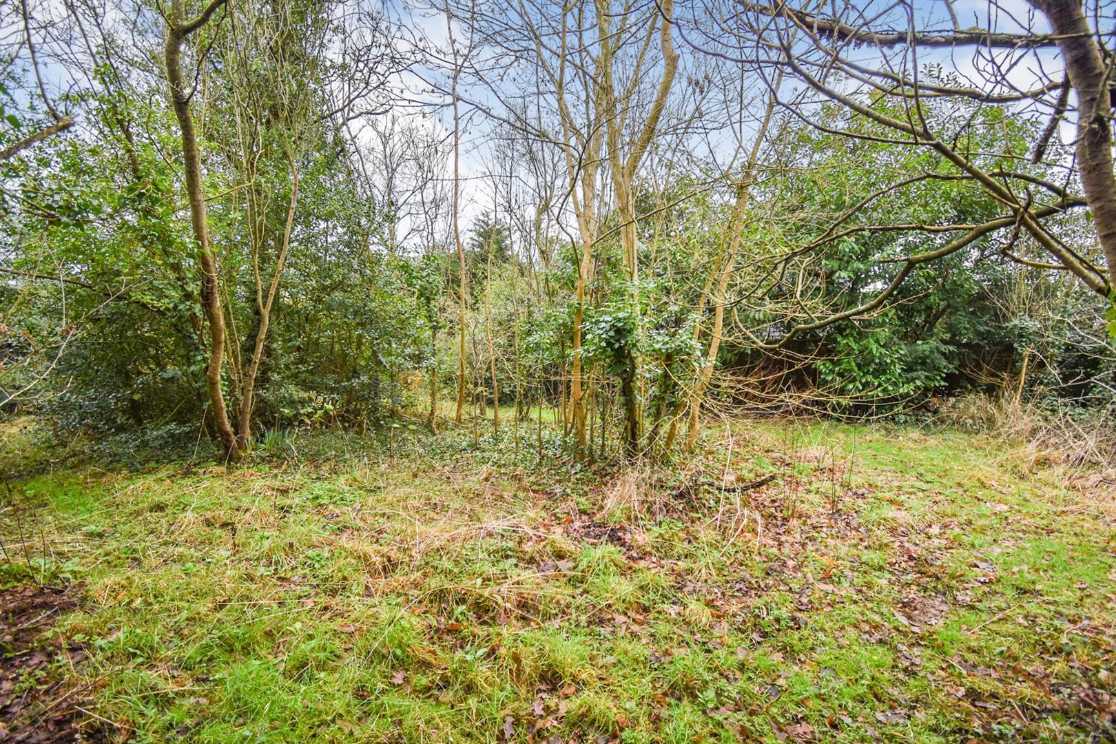 Property Image 6084c23f-9e11-46bf-8c1a-9826838566c9