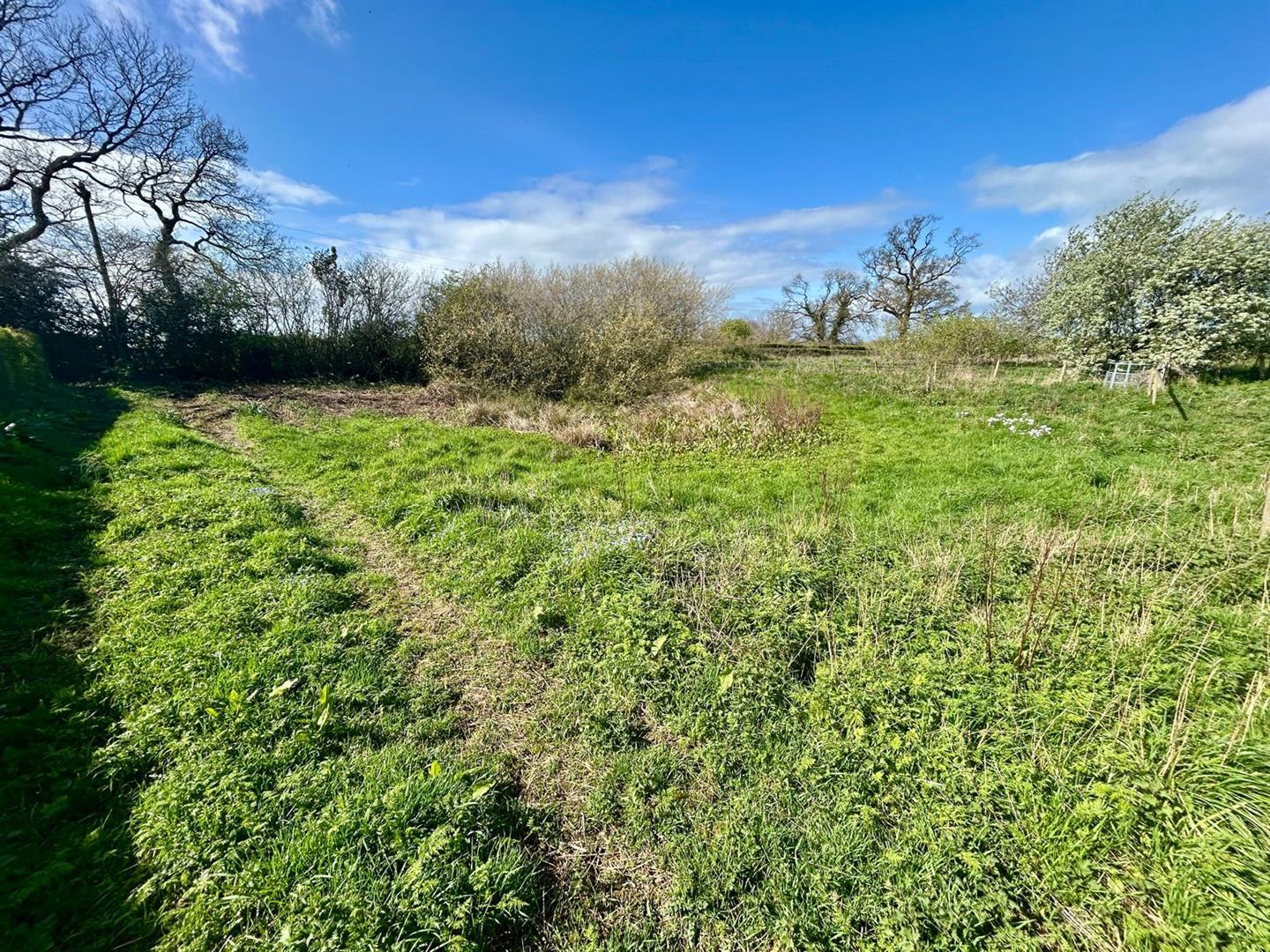 Property Image 6099c2d2-67e5-4add-807d-01542e45142d